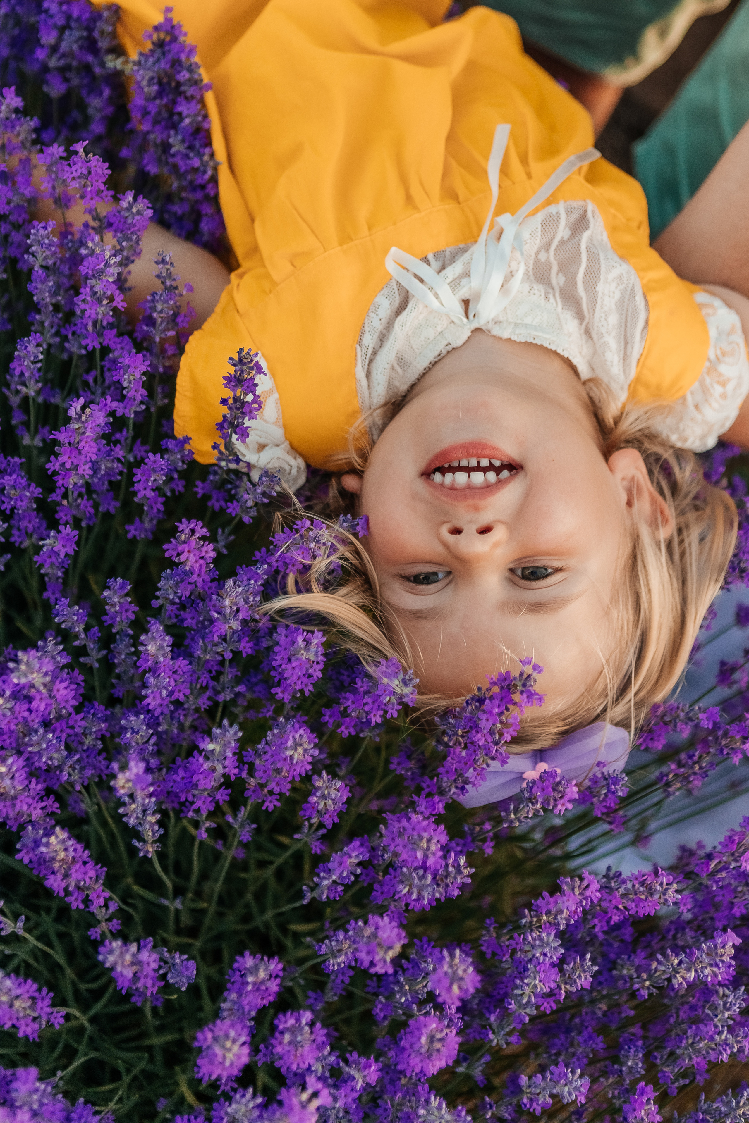 Фоторазходка Лавандула. Фотограф Ирина Йотова