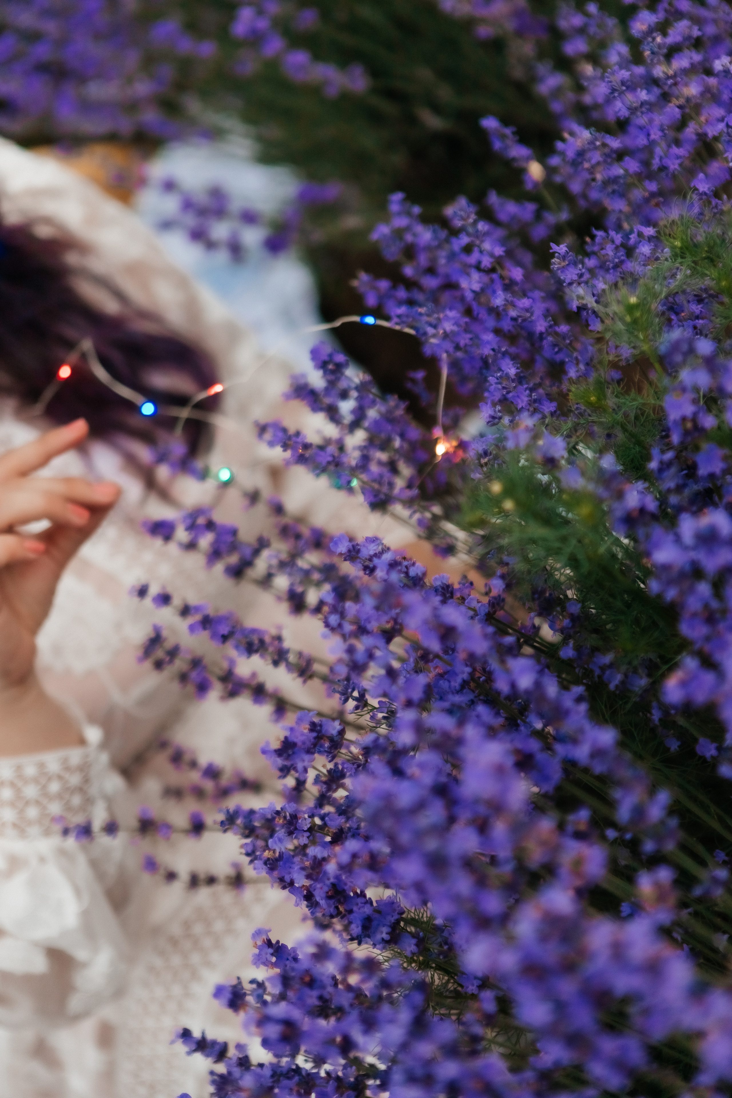 Фоторазходка Лавандула. Фотограф Ирина Йотова