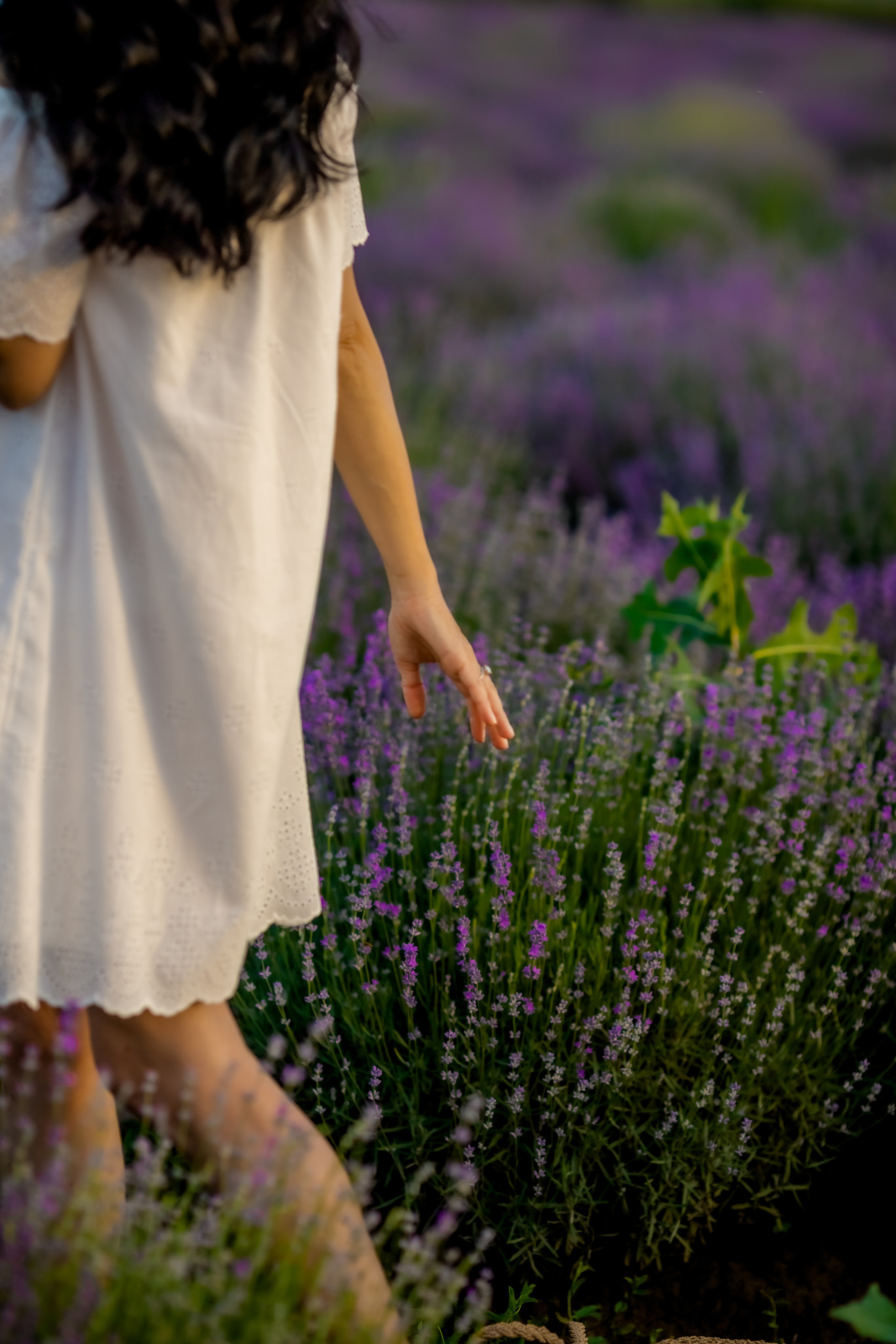 Фоторазходка Лавандула. Фотограф Ирина Йотова