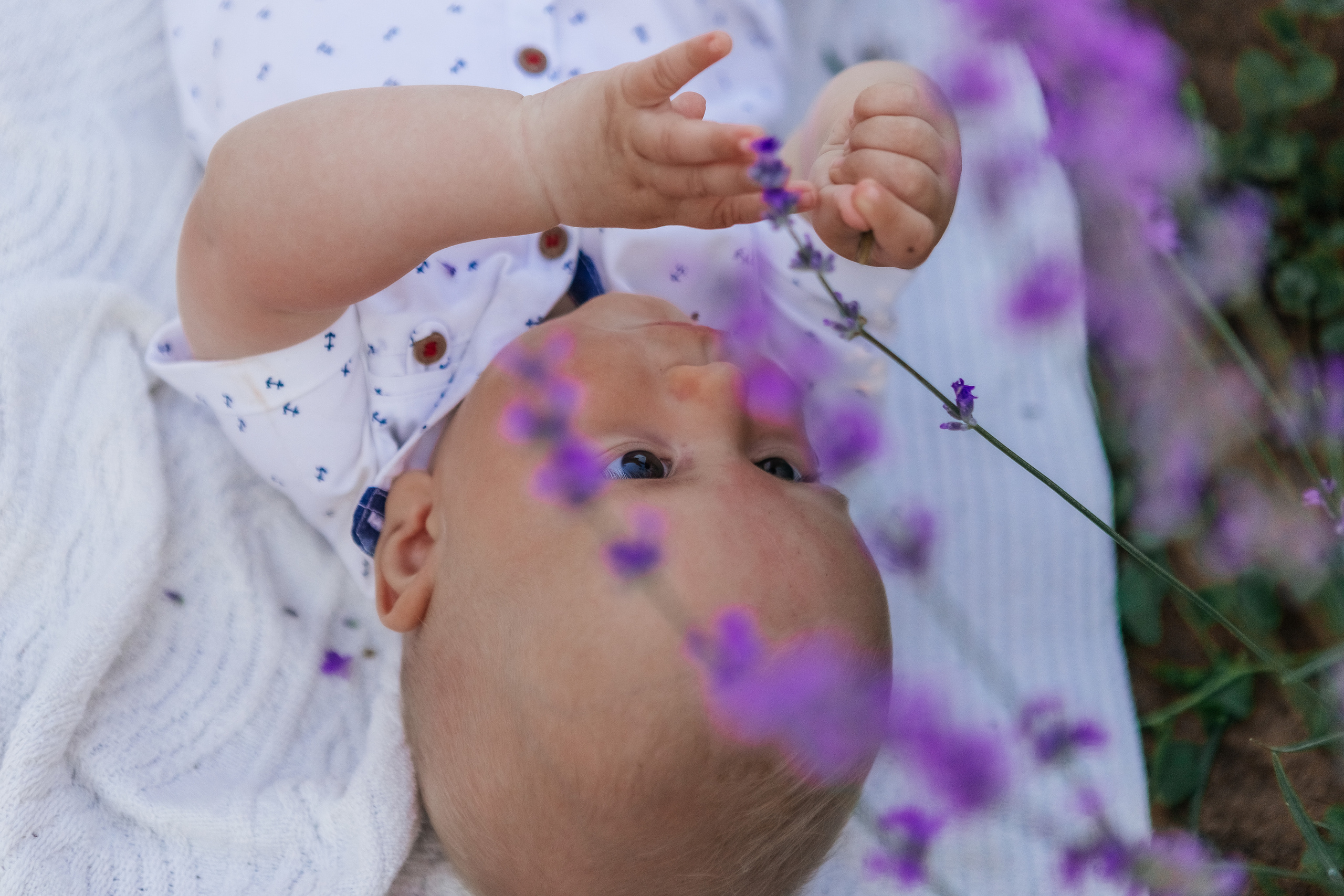 Фоторазходка Лавандула. Фотограф Ирина Йотова