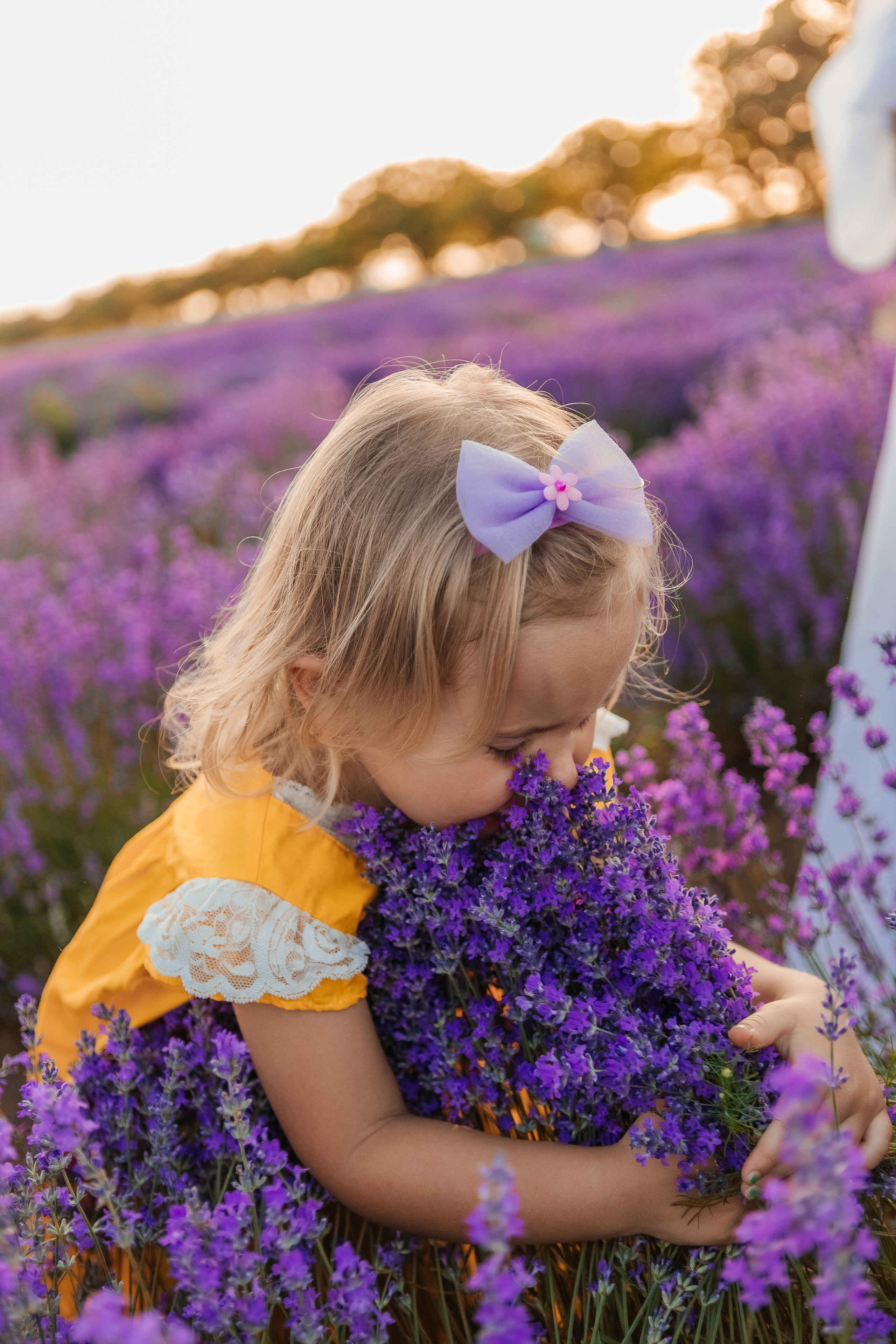 Фоторазходка Лавандула. Фотограф Ирина Йотова