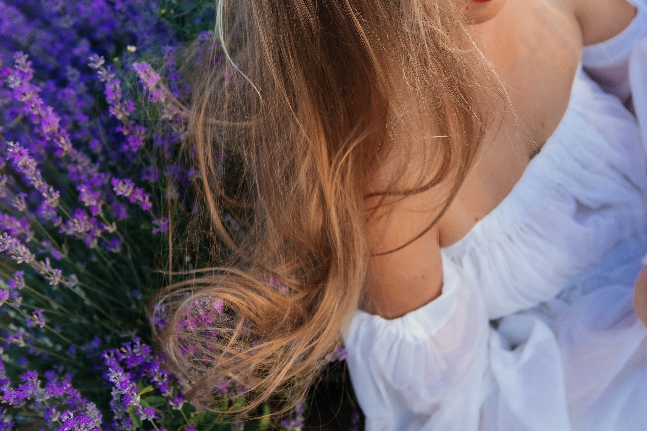 Фоторазходка Лавандула. Фотограф Ирина Йотова