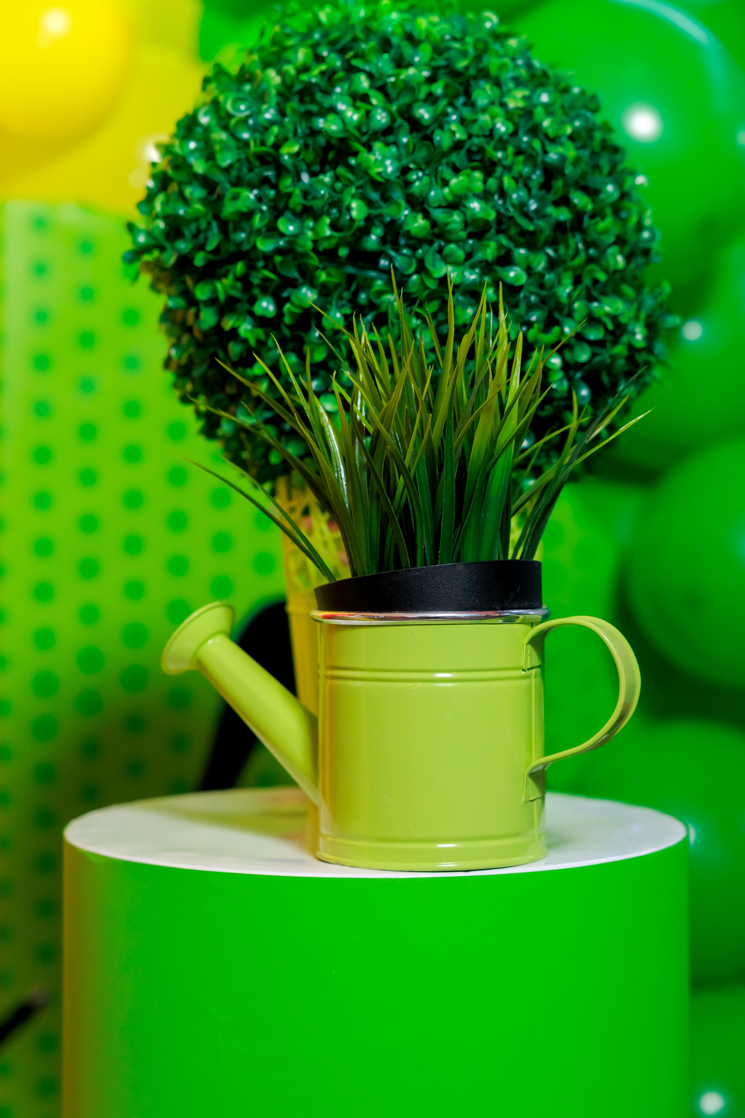 Рожден Ден Несебър. Фотограф Ирина Йотова