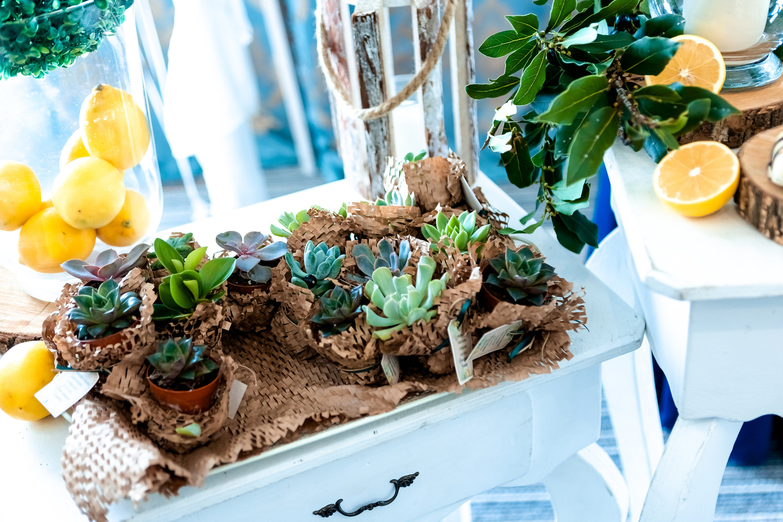 Поморие храм Св.Рождество Богородично. Фотограф Ирина Йотова