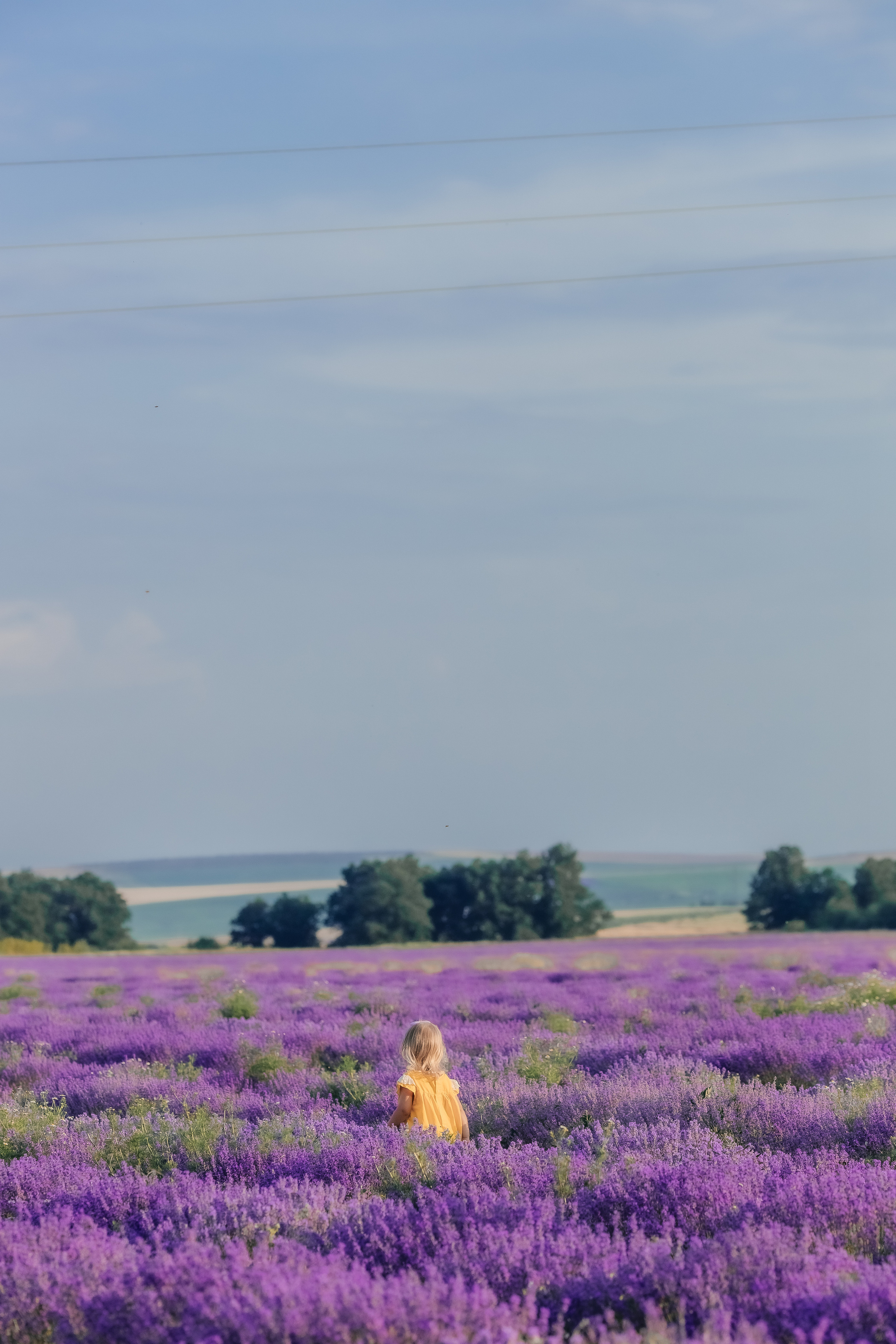 Фоторазходка Лавандула. Фотограф Ирина Йотова