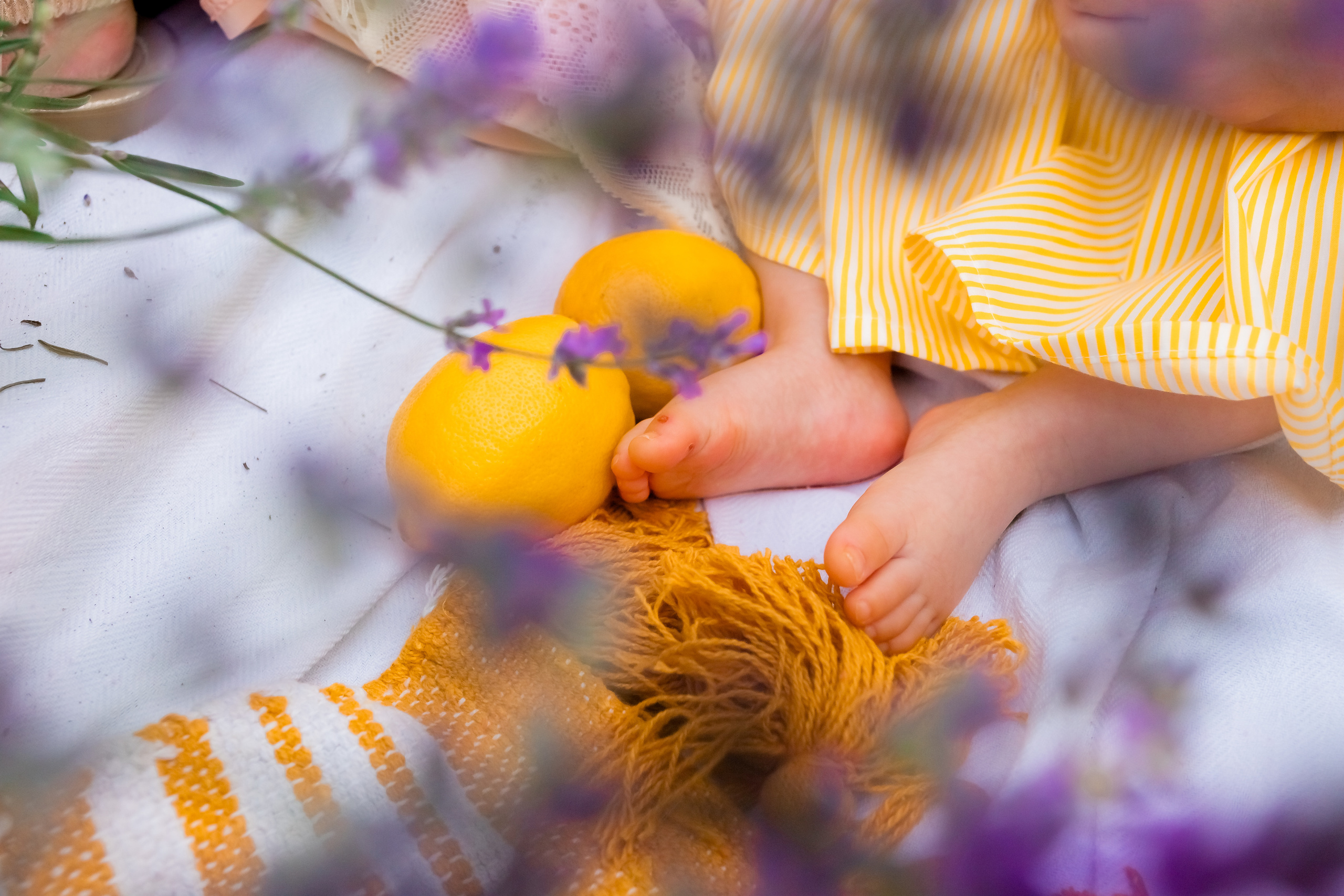 Фоторазходка Лавандула. Фотограф Ирина Йотова