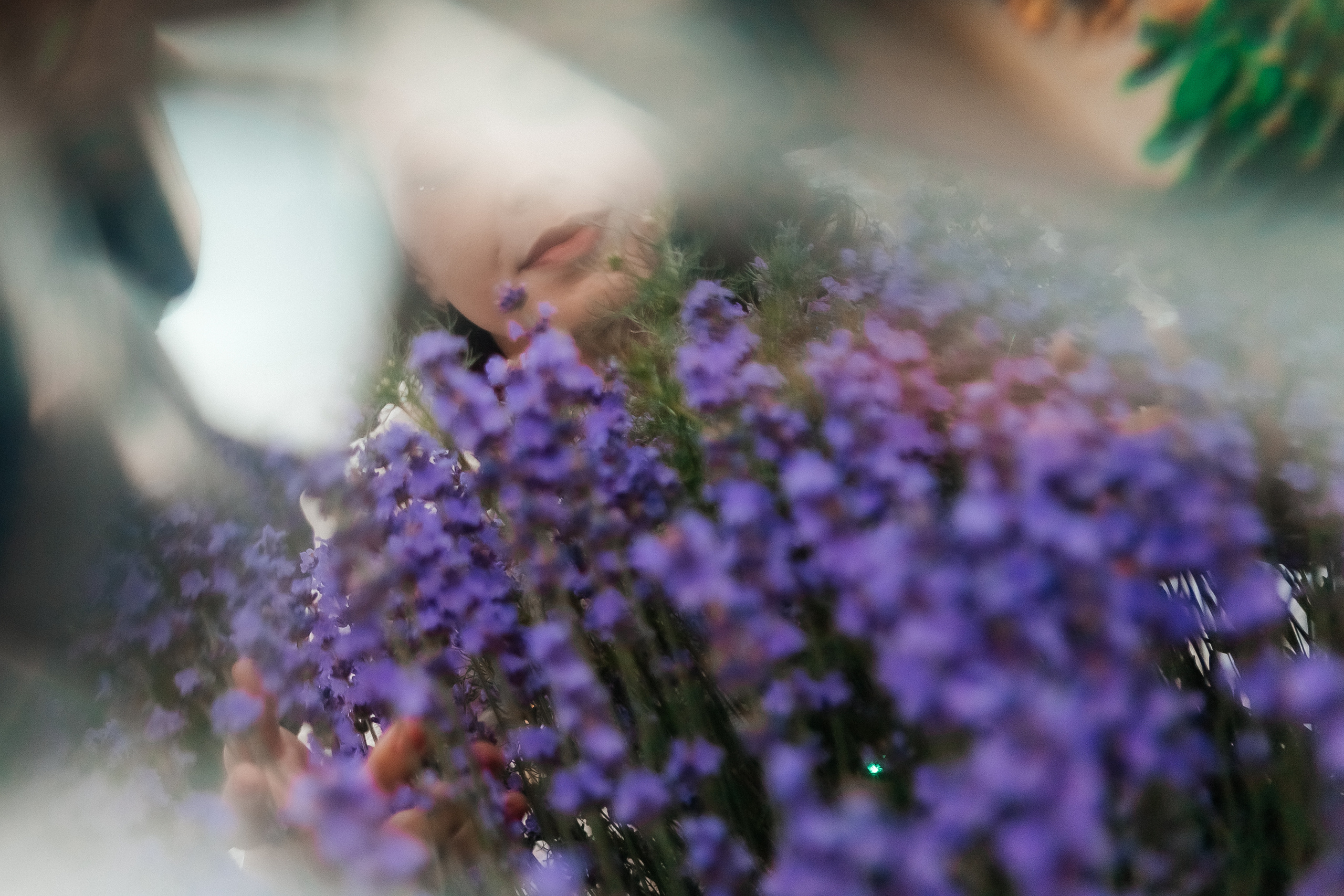 Фоторазходка Лавандула. Фотограф Ирина Йотова