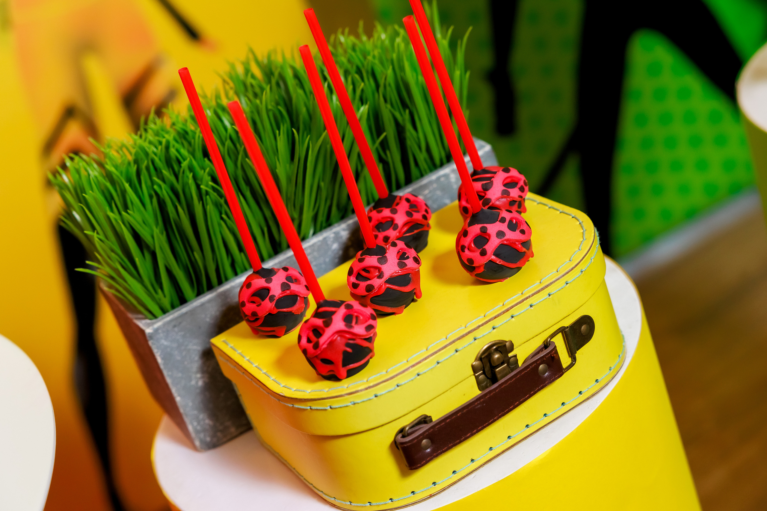 Рожден Ден Несебър. Фотограф Ирина Йотова