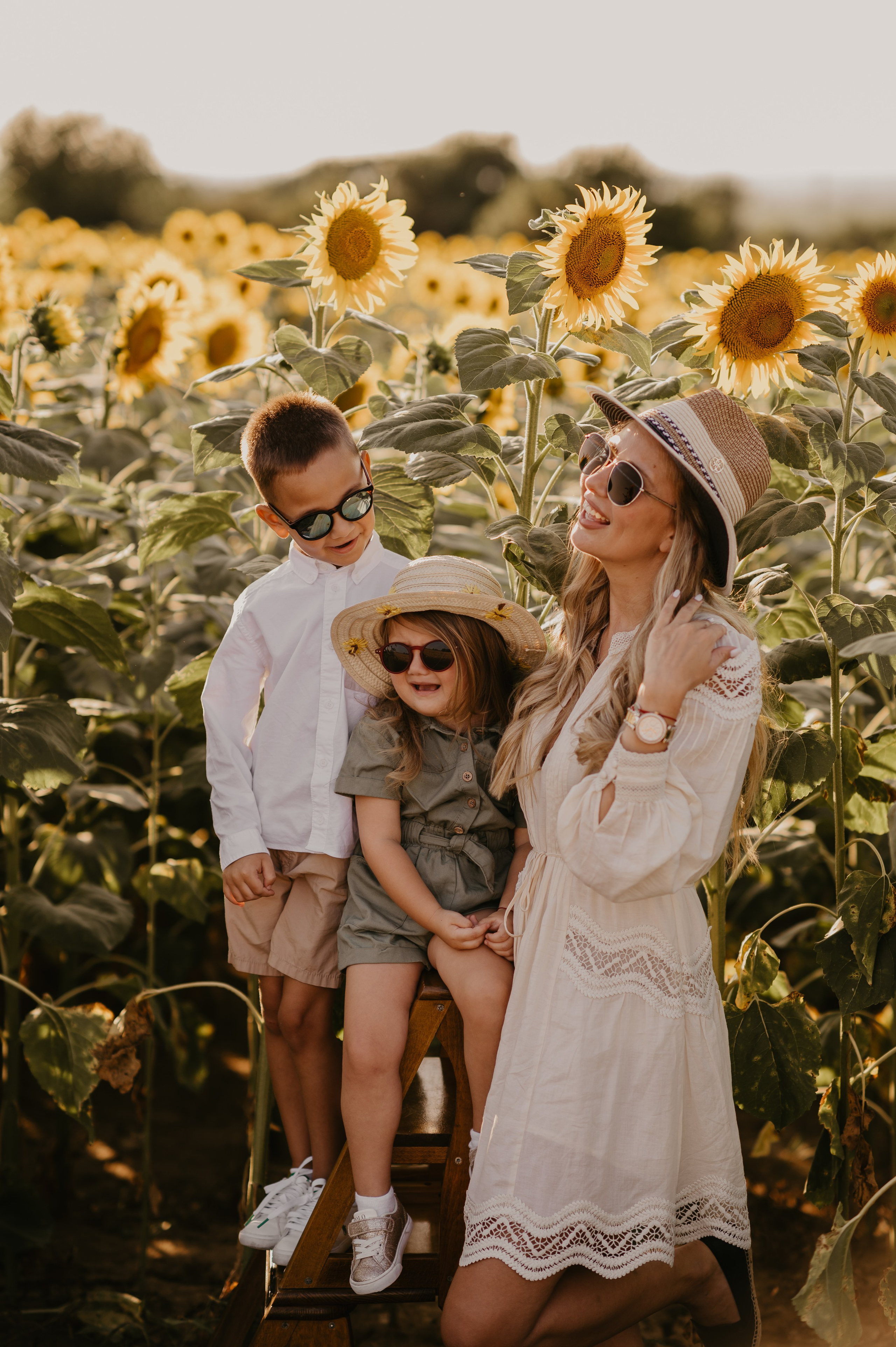 Polje suncokreta. Ana Sladojevic