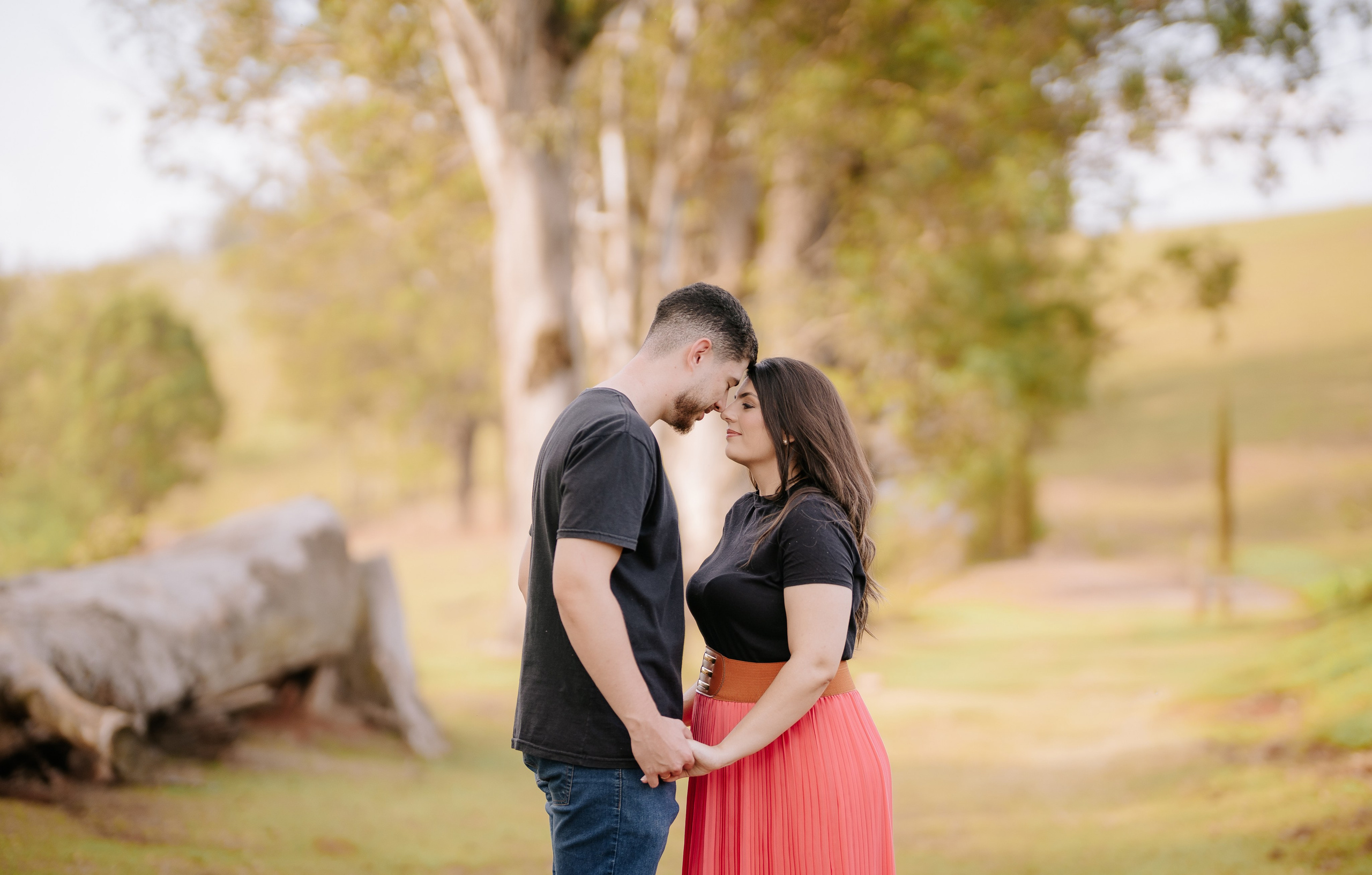 Aline & Daniel — Morro do Gavião / Ribeirão Claro PR. Robson Colaço
