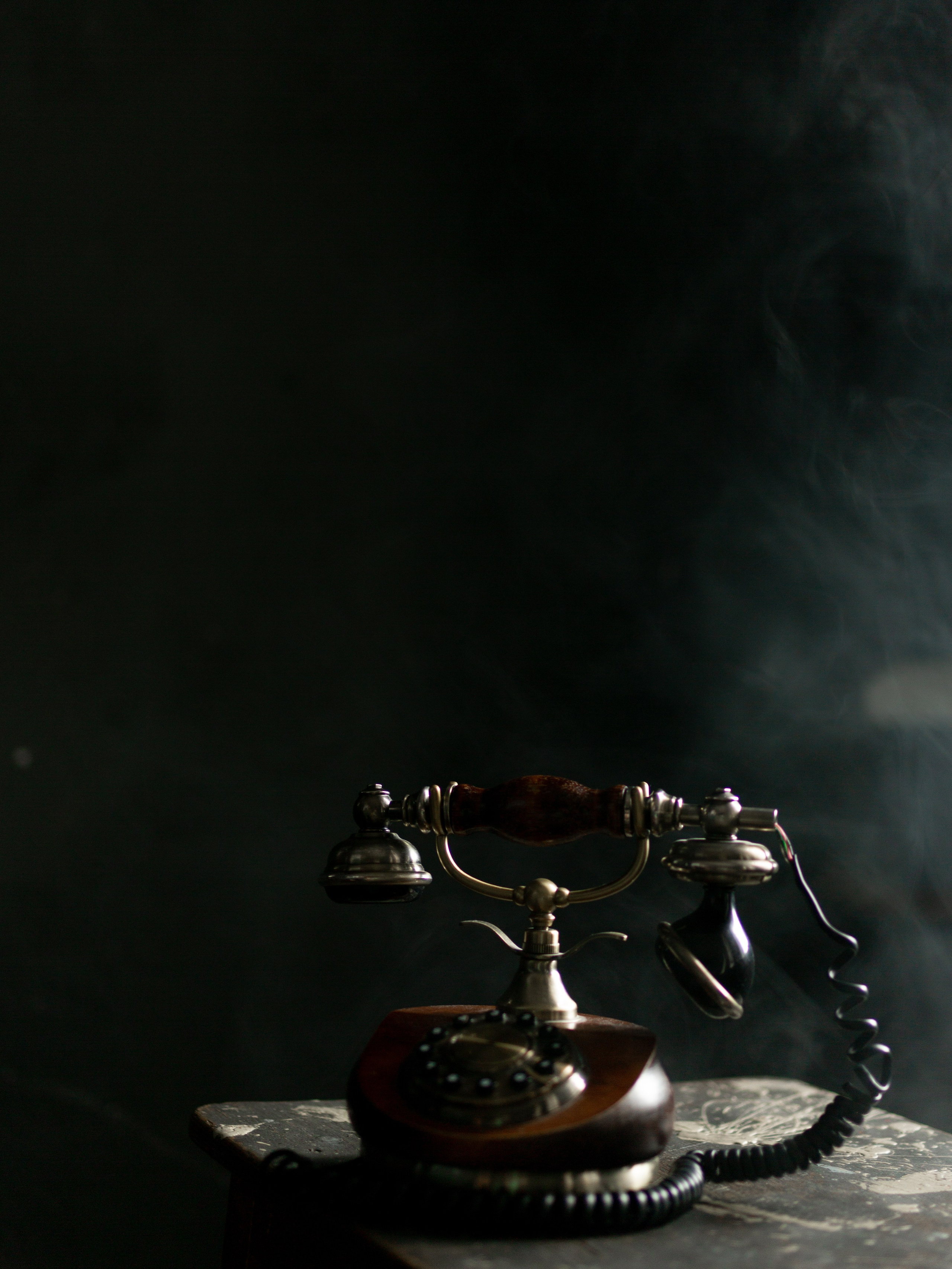 Lev. Photographer Vladmir Gladkov