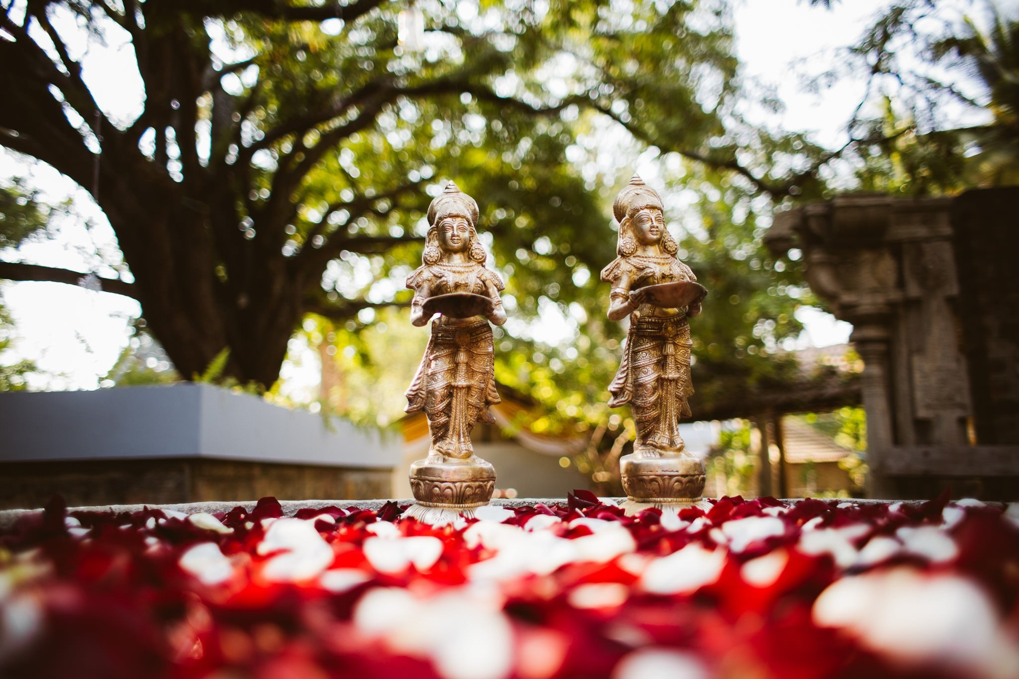 An intimate destination wedding at The Tamarind Tree, J.P Nagar, Bangalore