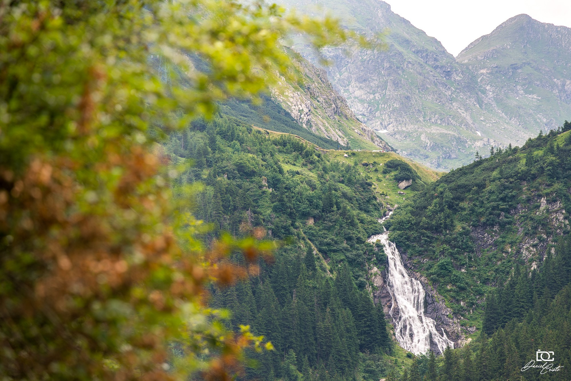 Peisaj /natura. Daniel Criste Fotograf