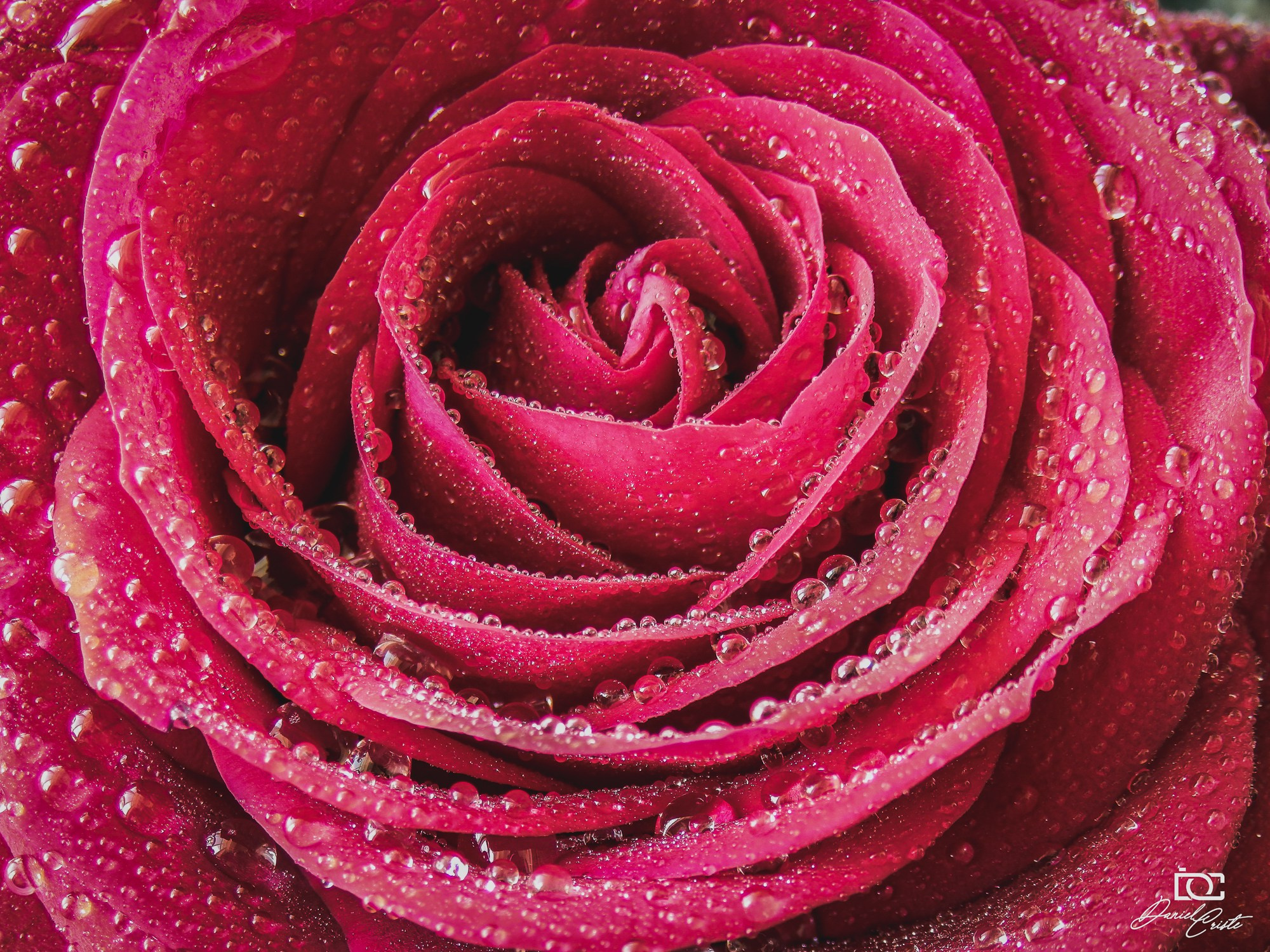 Peisaj /natura. Daniel Criste Fotograf