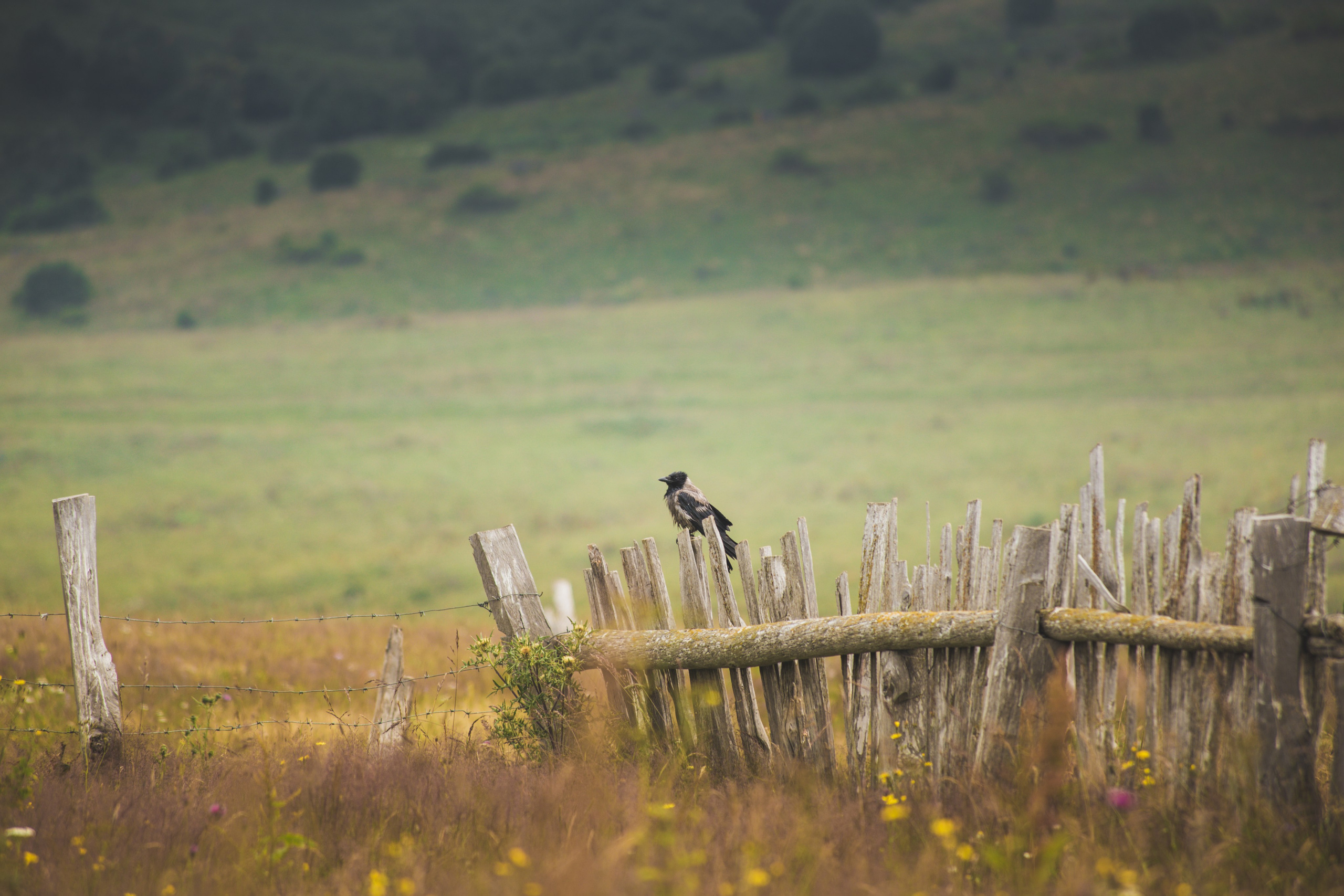 Urban. PHOTOSTORYNIKA