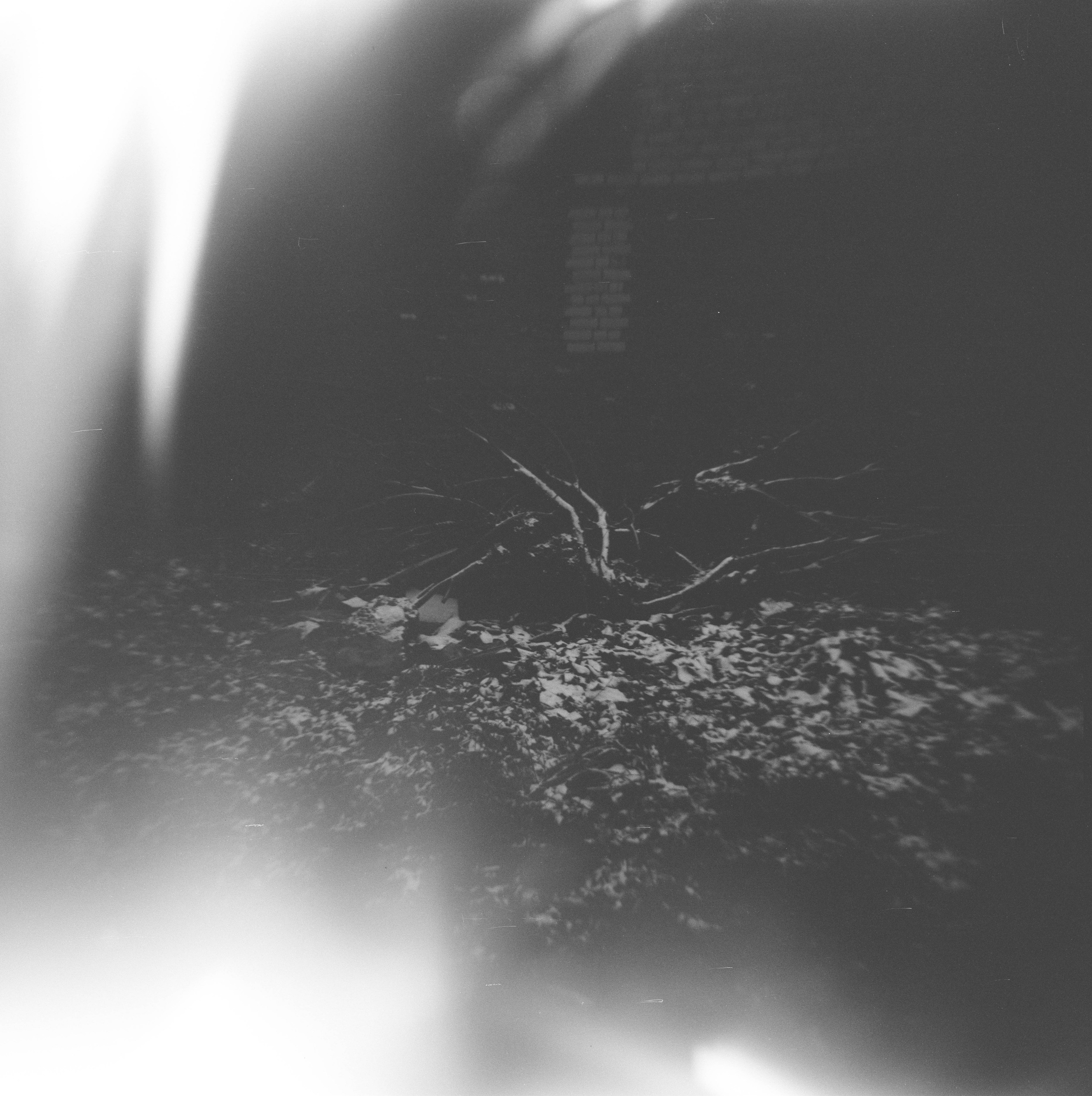 FADE. «Фотохроники»