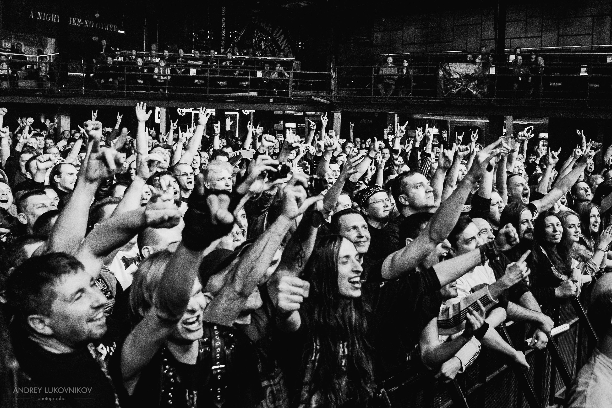 Running Wild. Rapid Foray Tour 2017