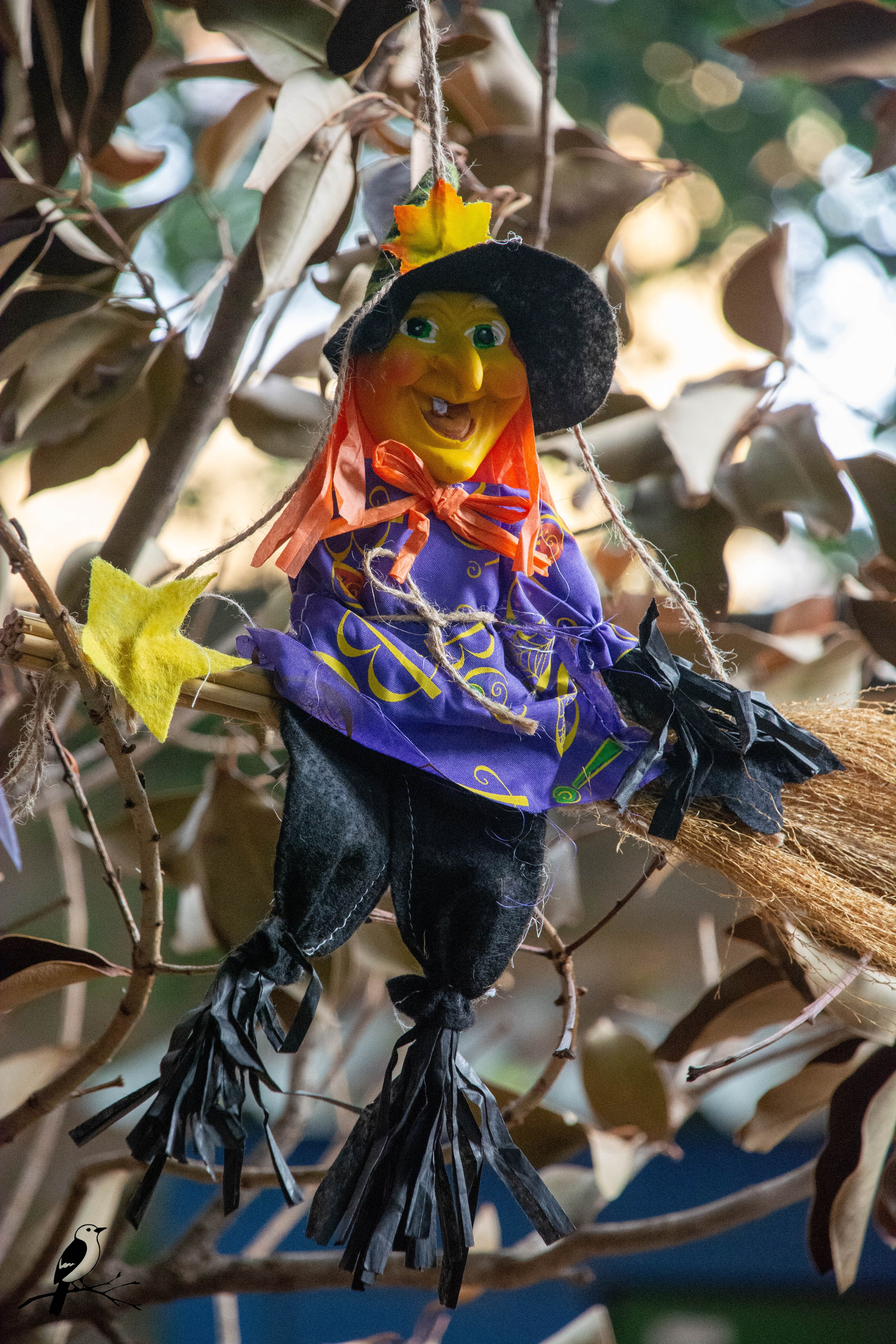 Festa Halloween. AerobirdStudios
