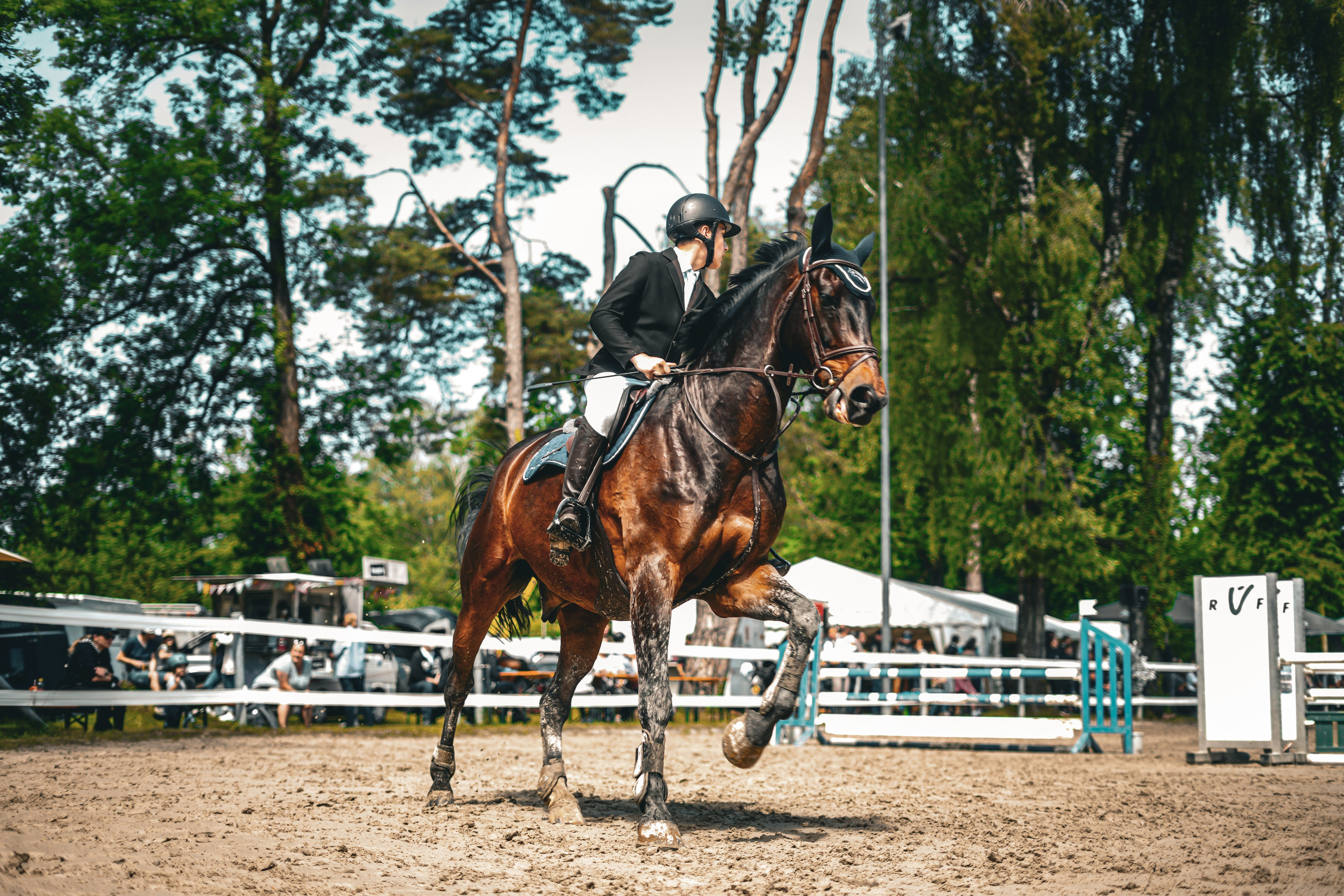 Equestrian Competition