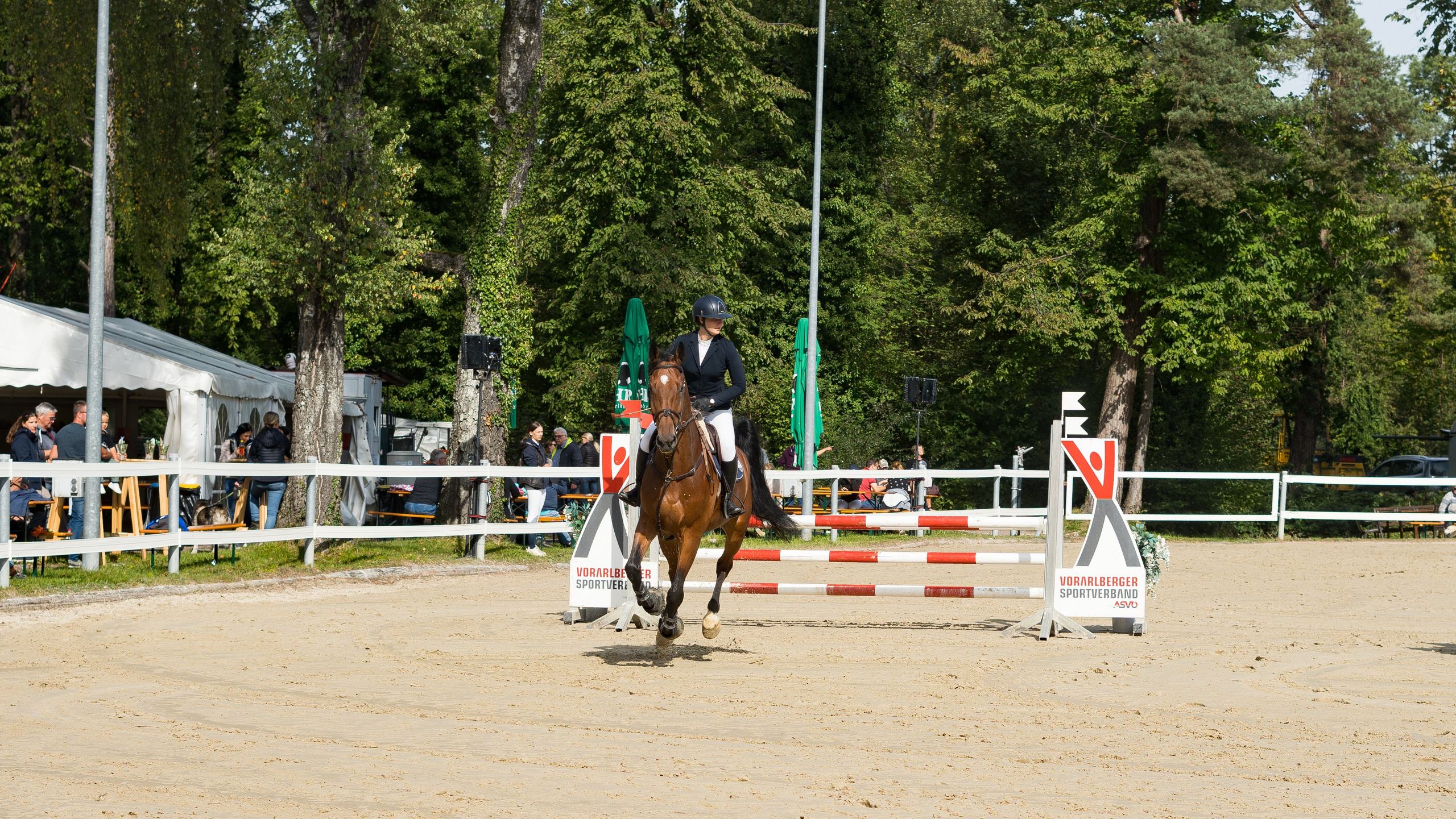 Equestrian Competition