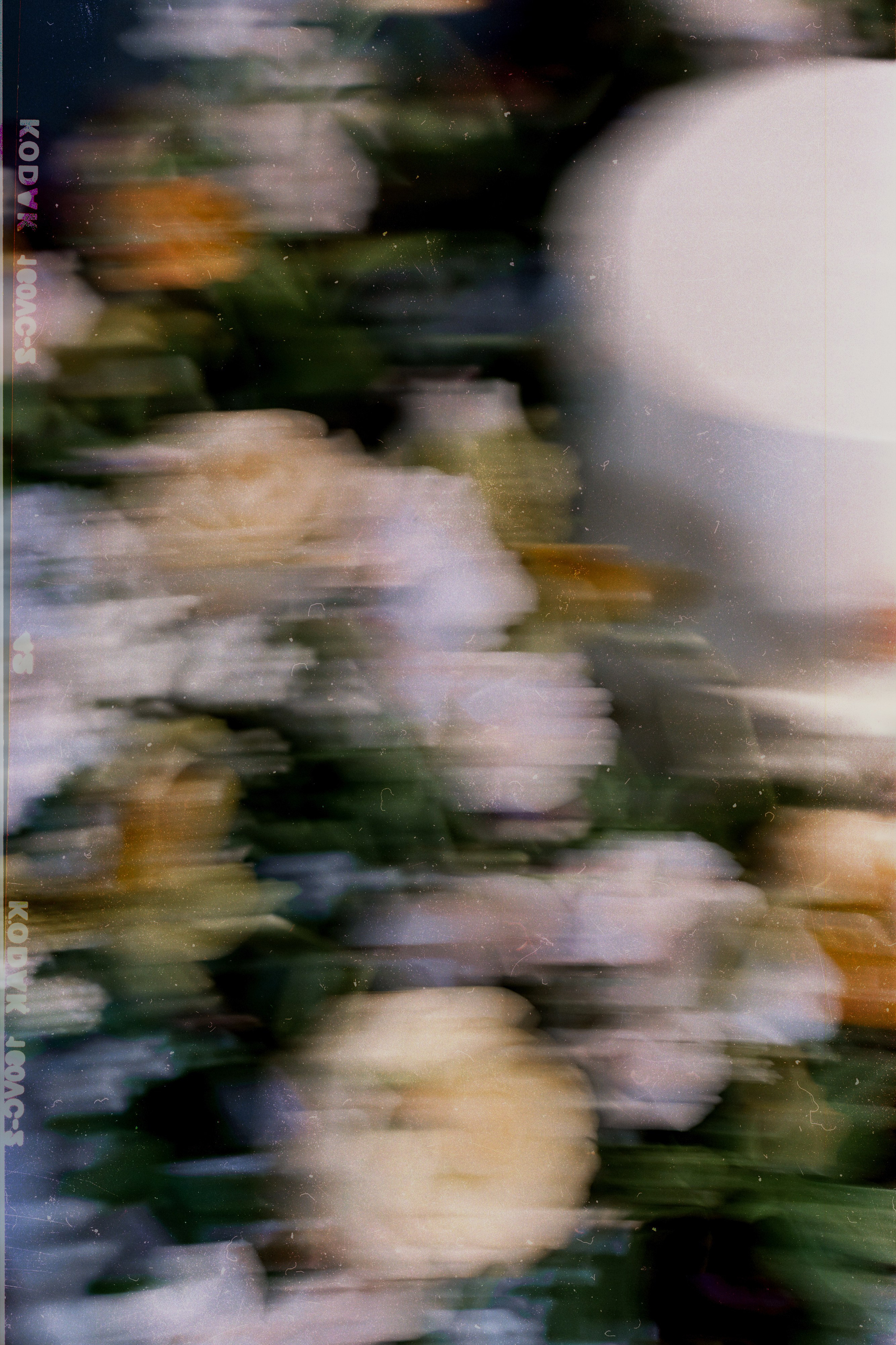 Greta and Sebastian’s Fashion-Forward Wedding Shoot. Wedding photographer and videographer New York | New Jersey