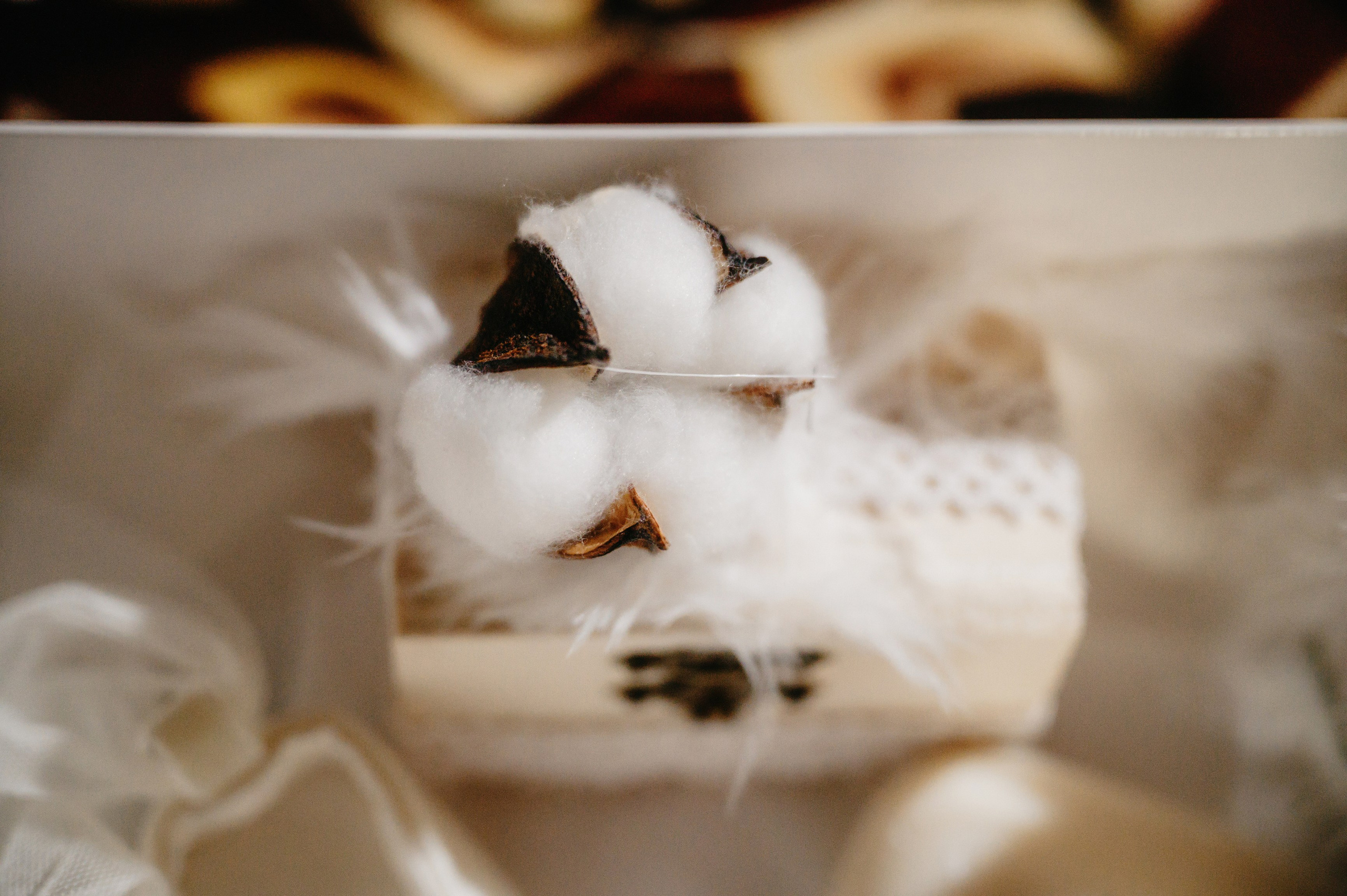 BOTEZ Ana Natasha. Laurentiu Stefan StoryTeller