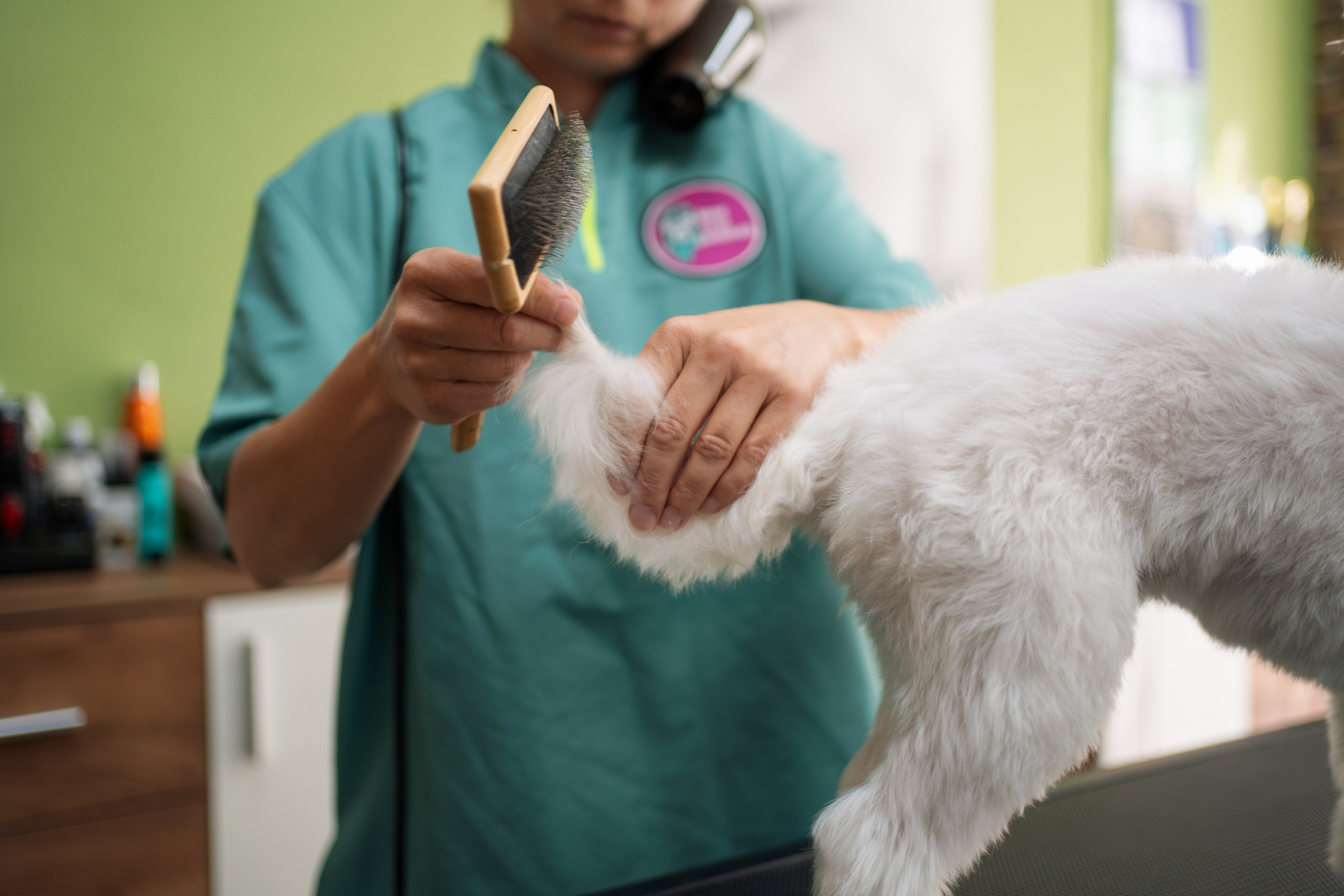 PetGroom Timisoara. Cozac Cristian Photographer
