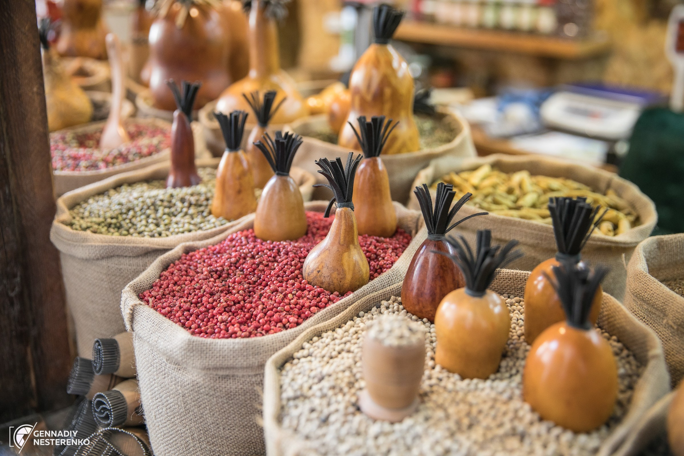 Dolores тур. агентство. Профессиональная Фото-Видео Студия Геннадия Нестеренко | Ташкент и Весь Узбекистан