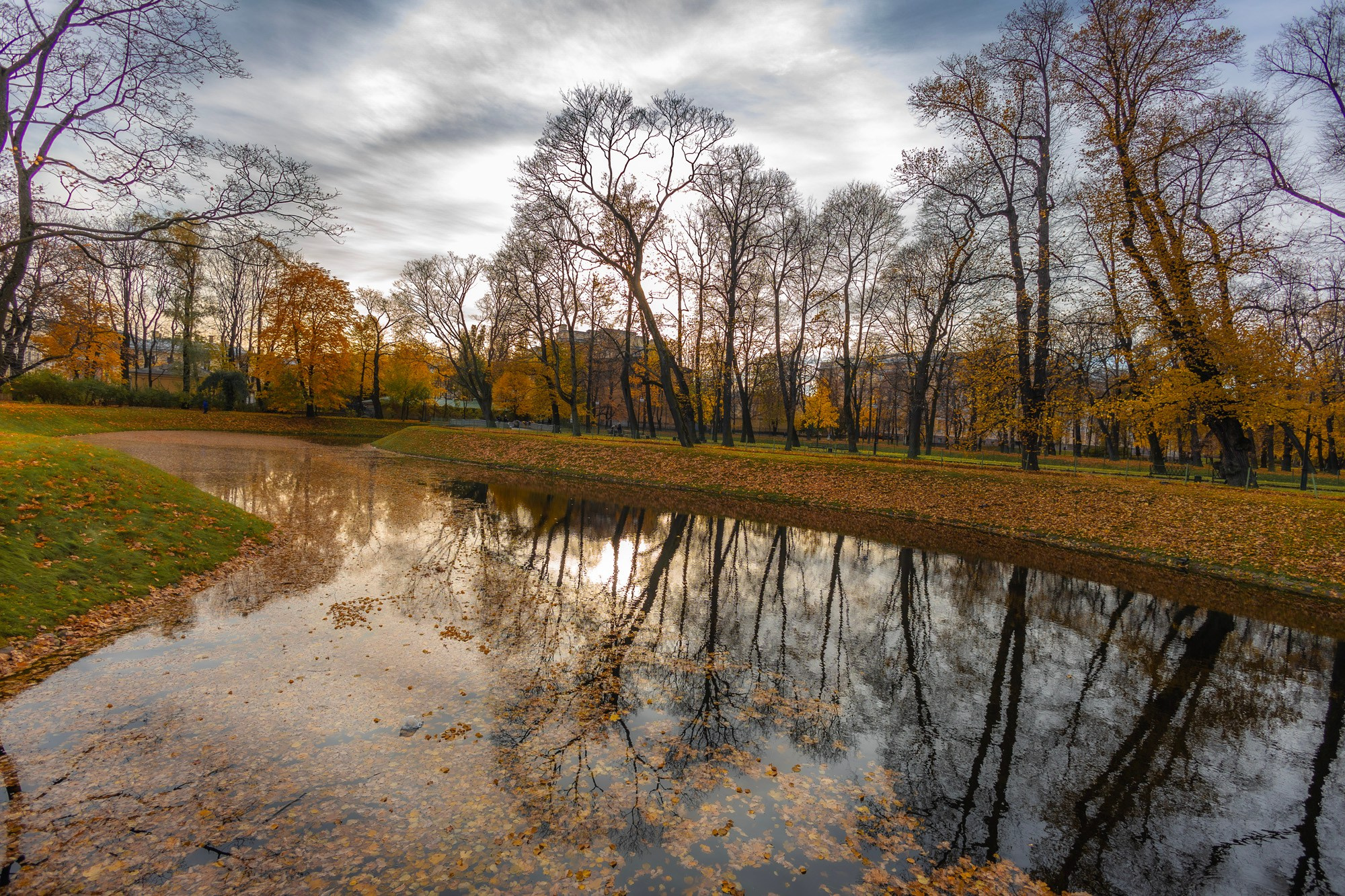 Autumn Series. Samid Ali