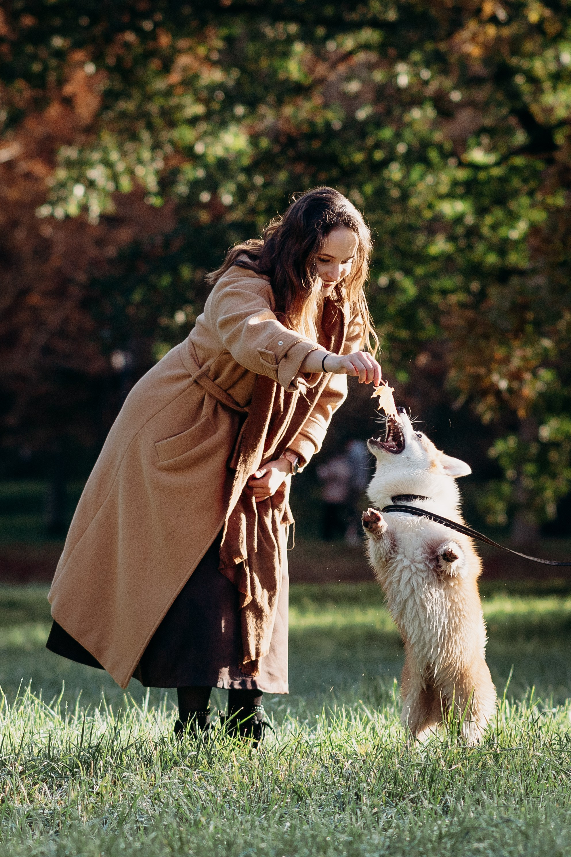 Liisa, Alexander & Marsel. Фотограф-анималист в Таллинне, Катя Лайсаар