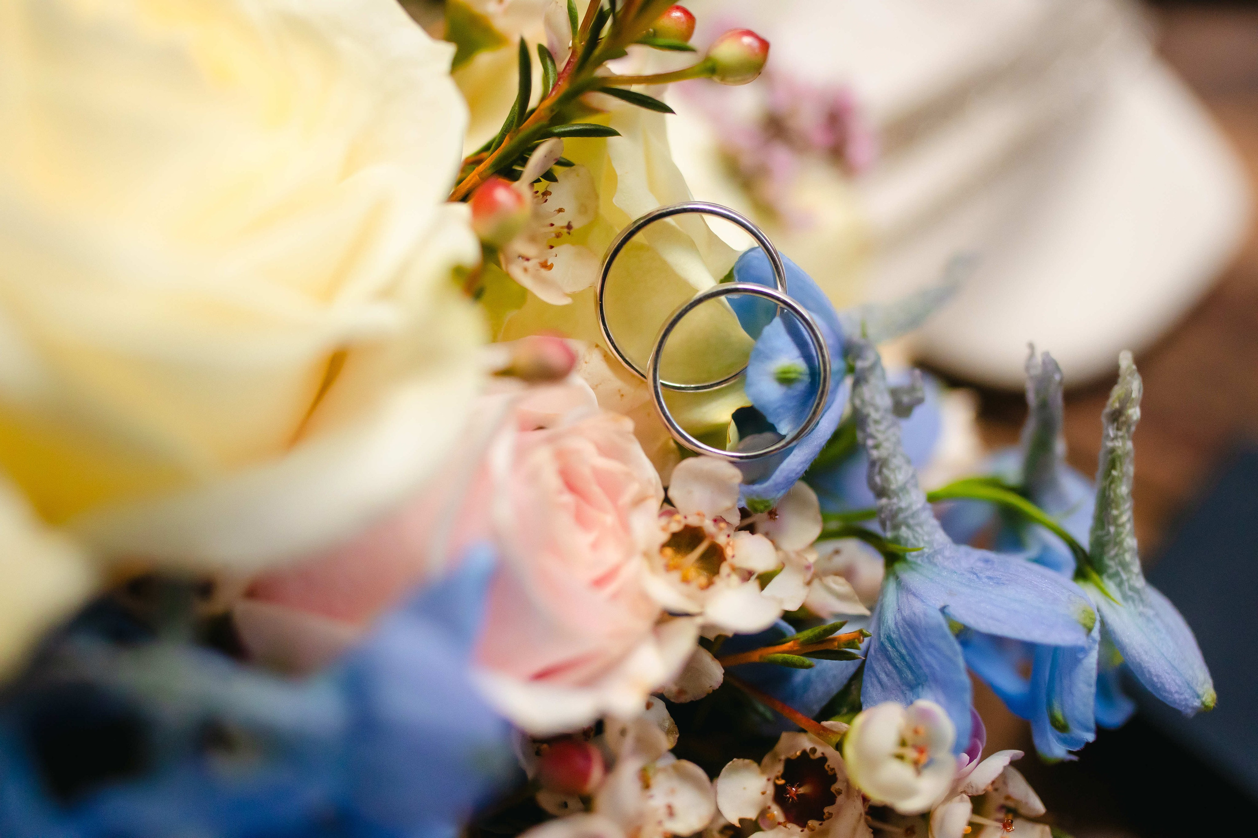 A Day to Remember. Https://shi-photo.com/