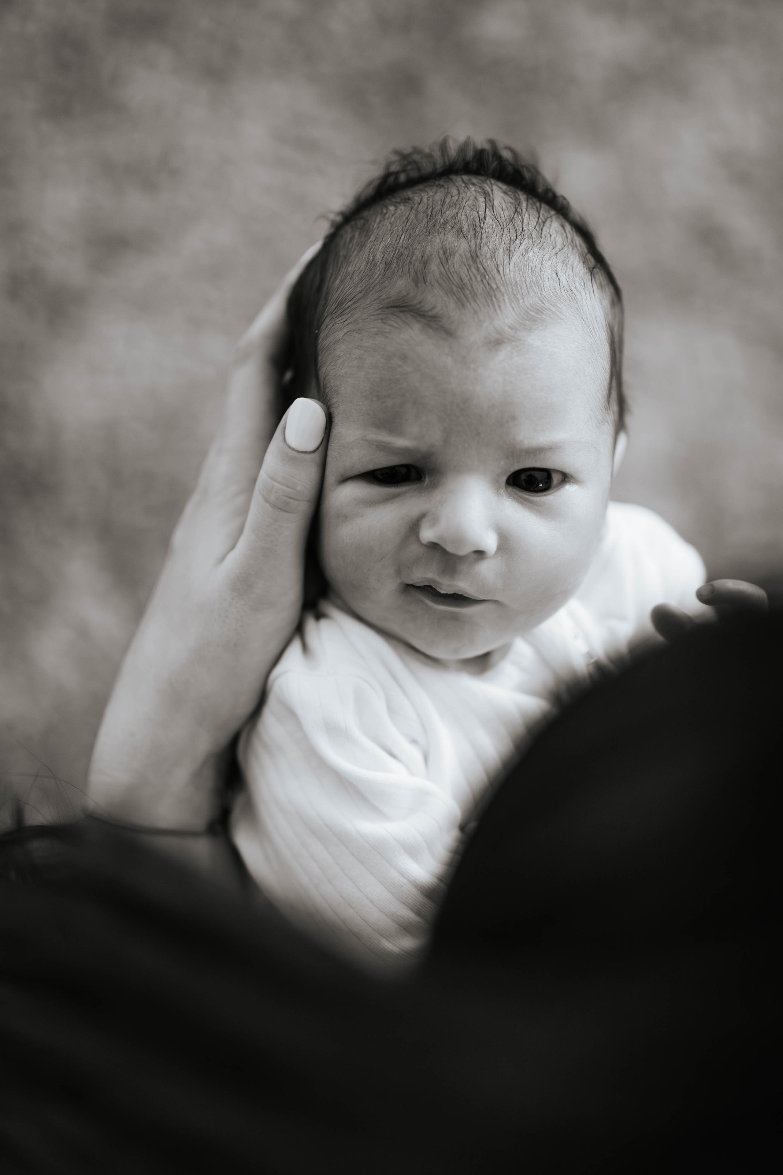 Ana, Aleksandar, Andrea i Viktor - porodićno fotografisanje. Dečiji i porodični fotograf