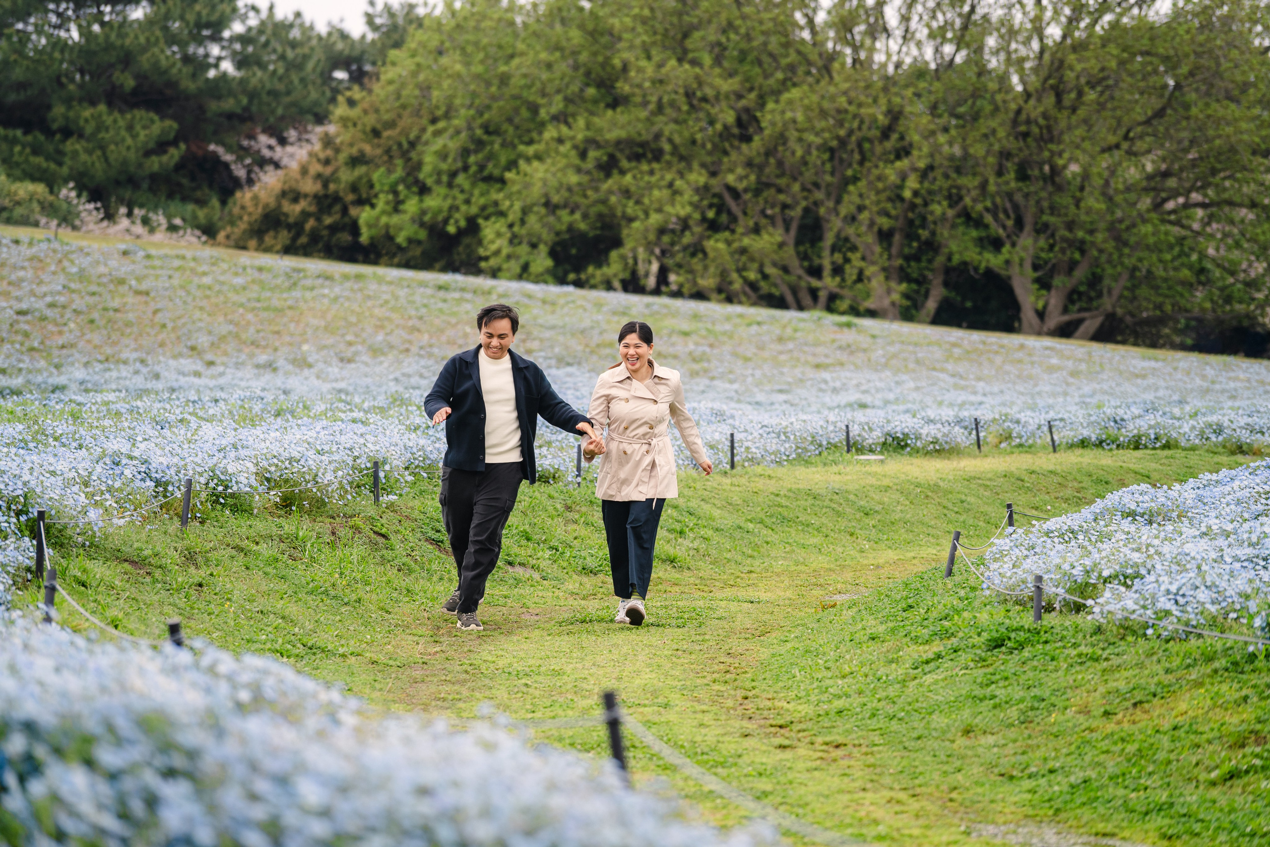 Nemophila Flower Photoshoot Uminonakamichi | Korean Drama Style Portraits Fukuoka. Portrait Photographer in Fukuoka, Japan | Alina Nazarova