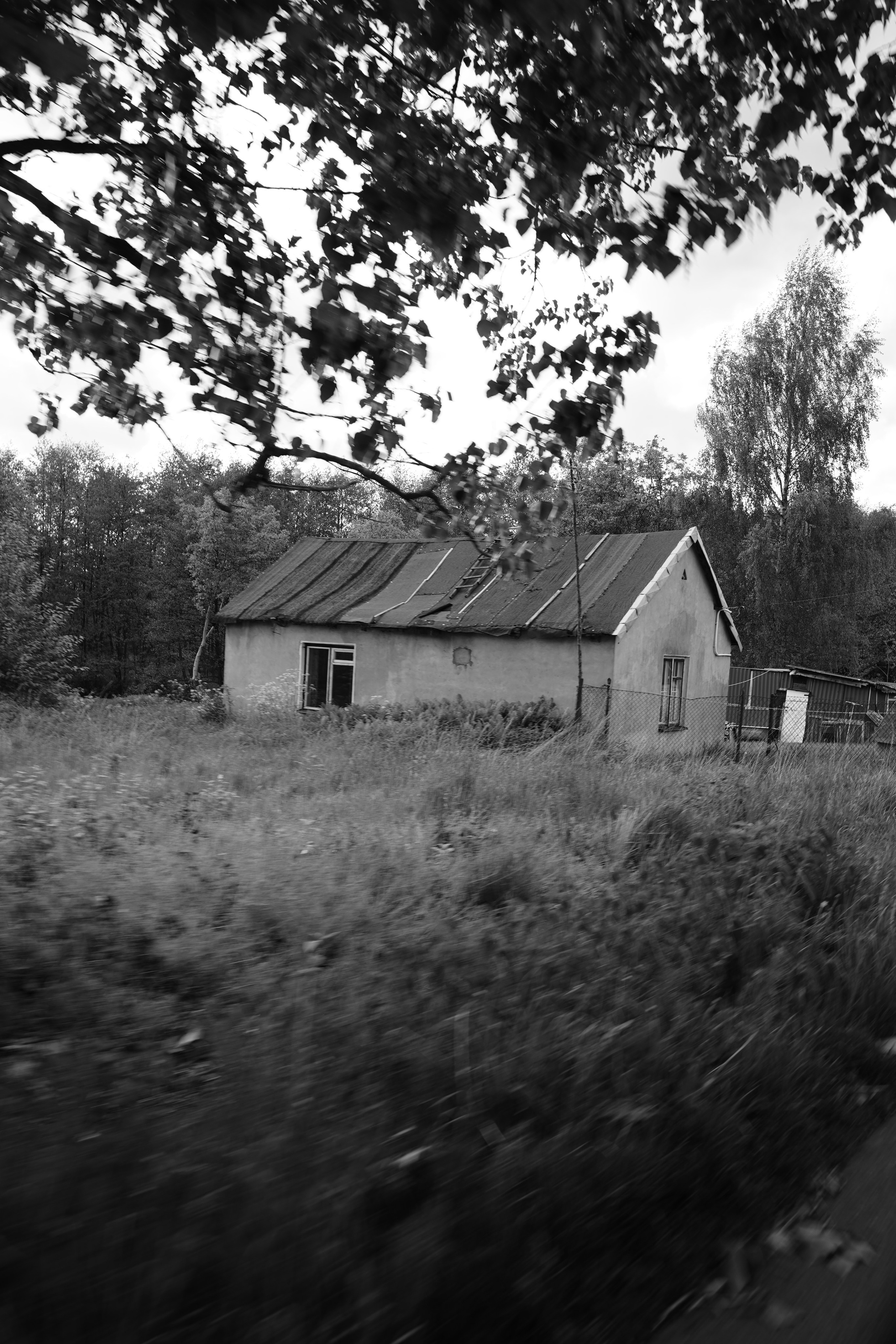 Powroty do domu. Olga Kępka-Peryt|Naturalna fotografia portretowa i lifestyle|Warszawa i okolice