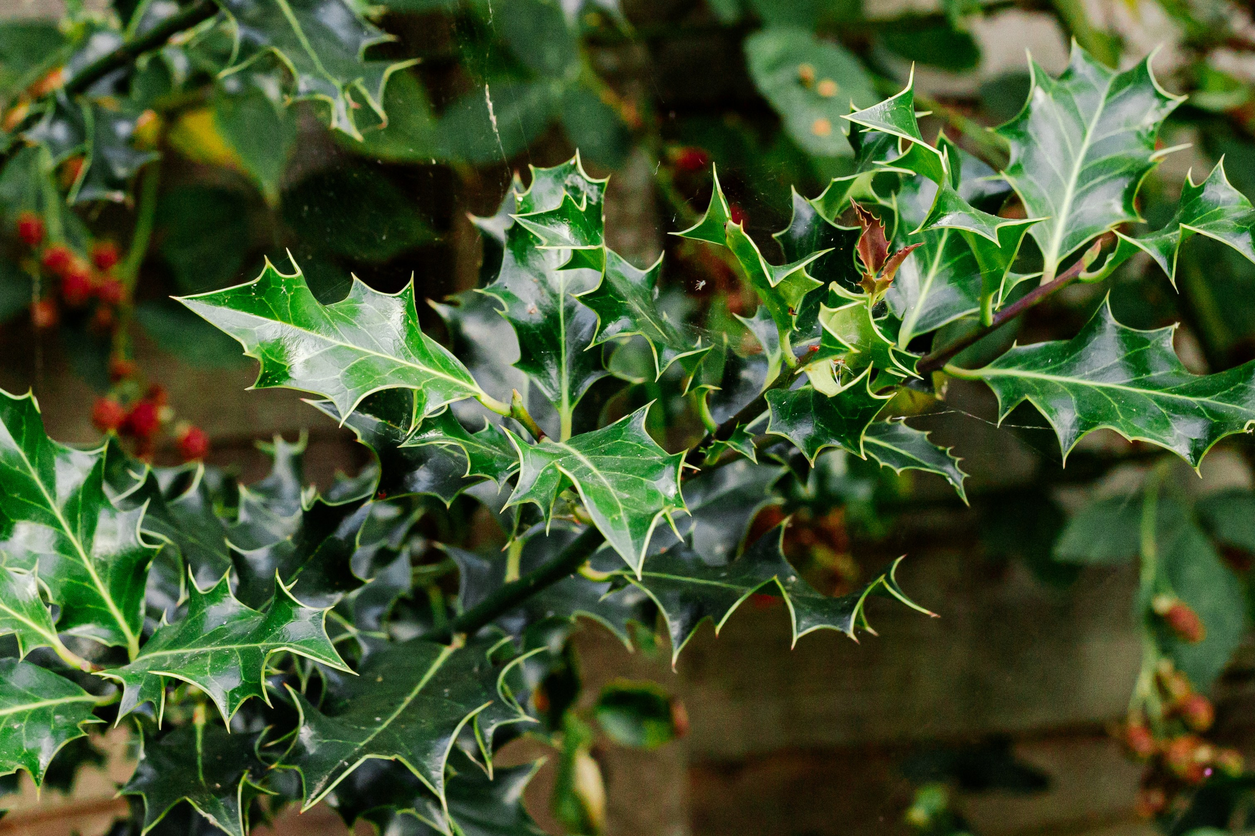 Paula & Ed — Maidstone. August, 2022. Timeless Wedding & Event Photography from London to the world