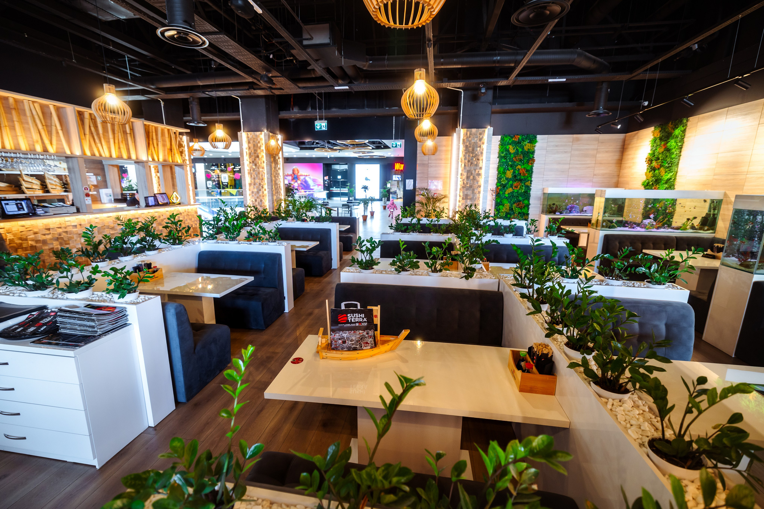 Sushi Terra. Marius Ciocan