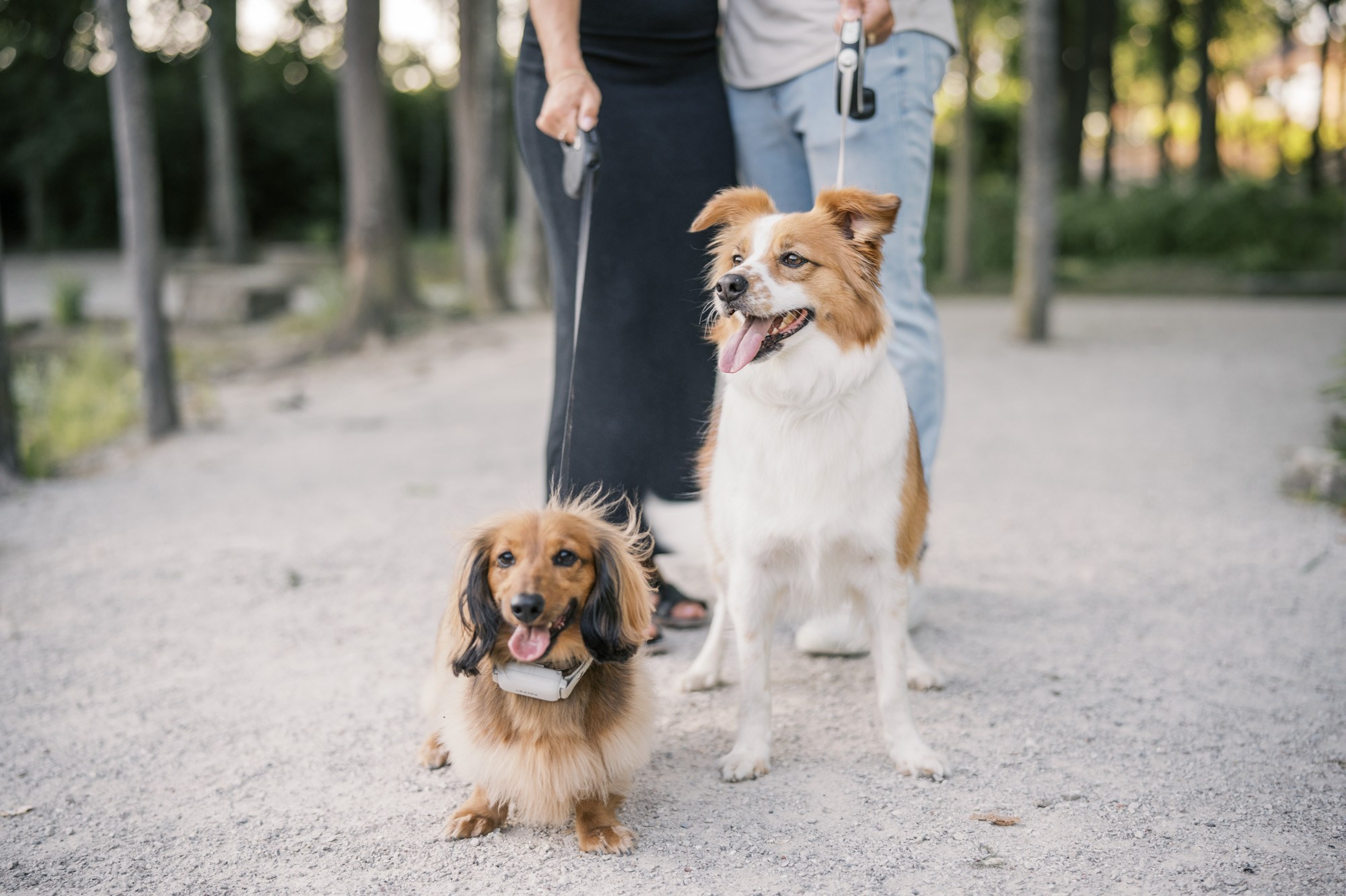 Couple. Cleveland Family Photographer | Irina’s Photo