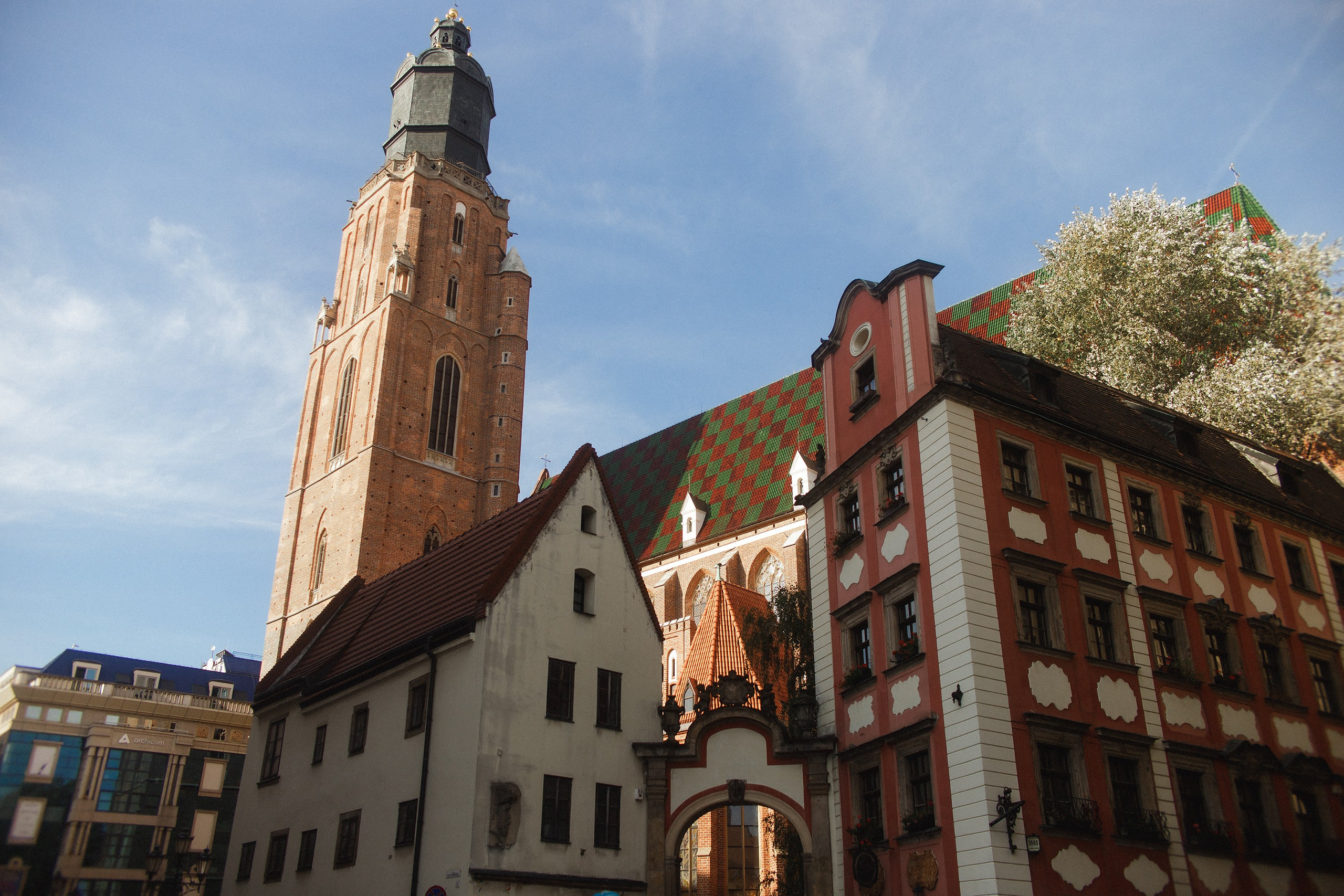 Nastya. Kaja | fotograf psów we Wrocławiu