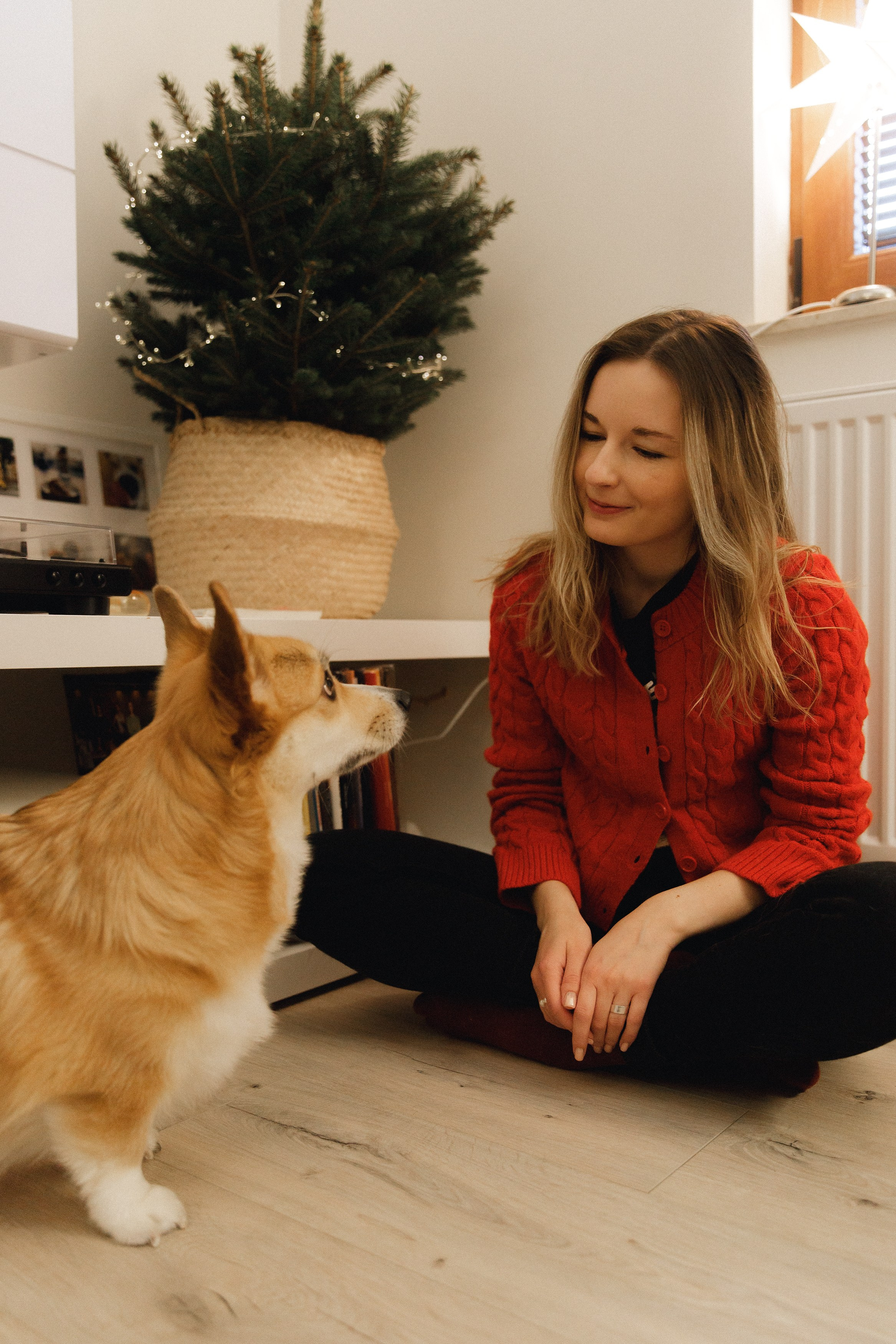 Dasha & Daisy. Kaja | fotograf psów we Wrocławiu