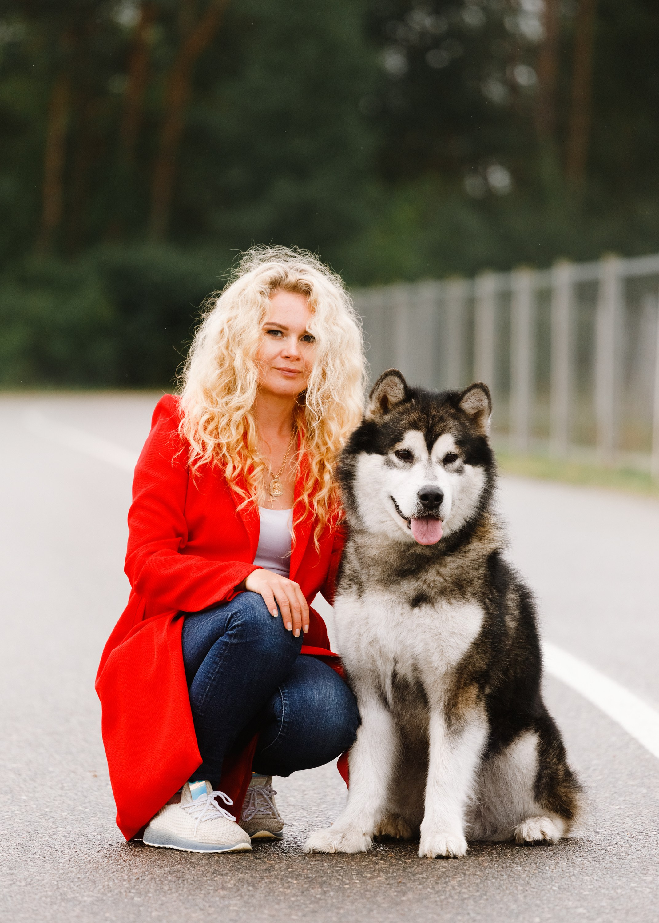 Dog shows | the best ones. Kaja | fotograf psów we Wrocławiu