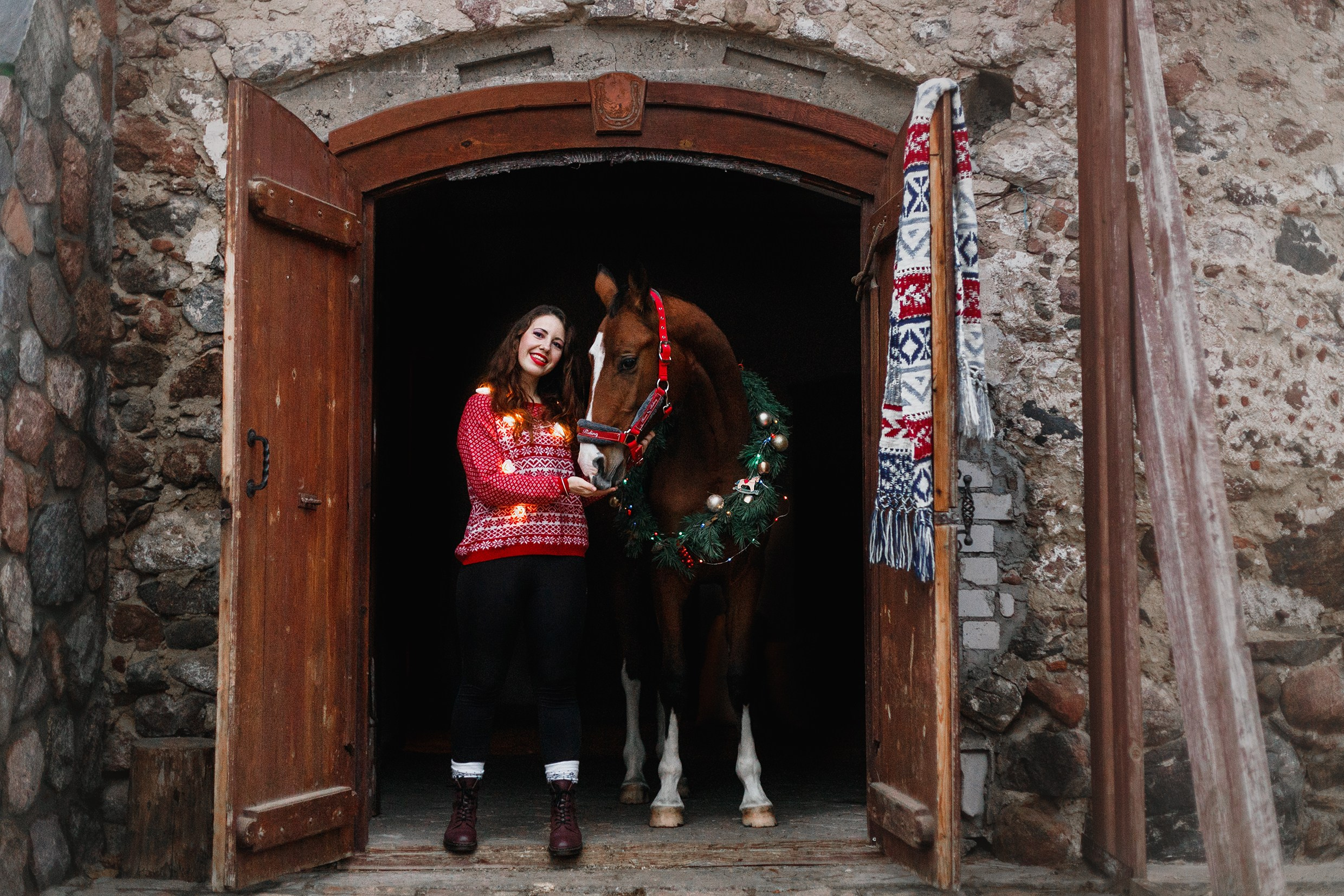 Aibike | winter. Kaja | fotograf psów we Wrocławiu
