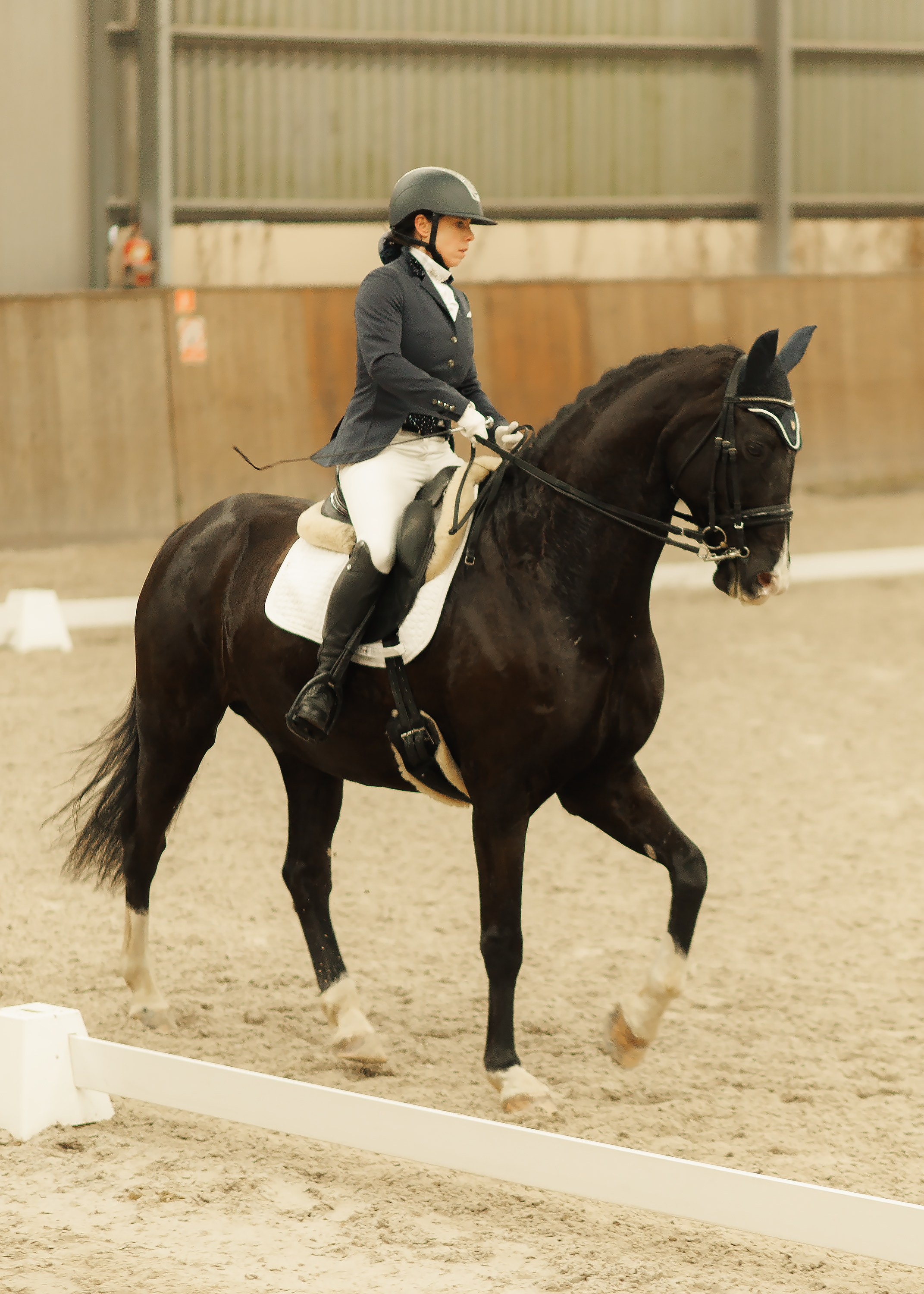 Partynice dressage \ feb'25. Kaja | fotograf we Wrocławiu | ludzie i psy