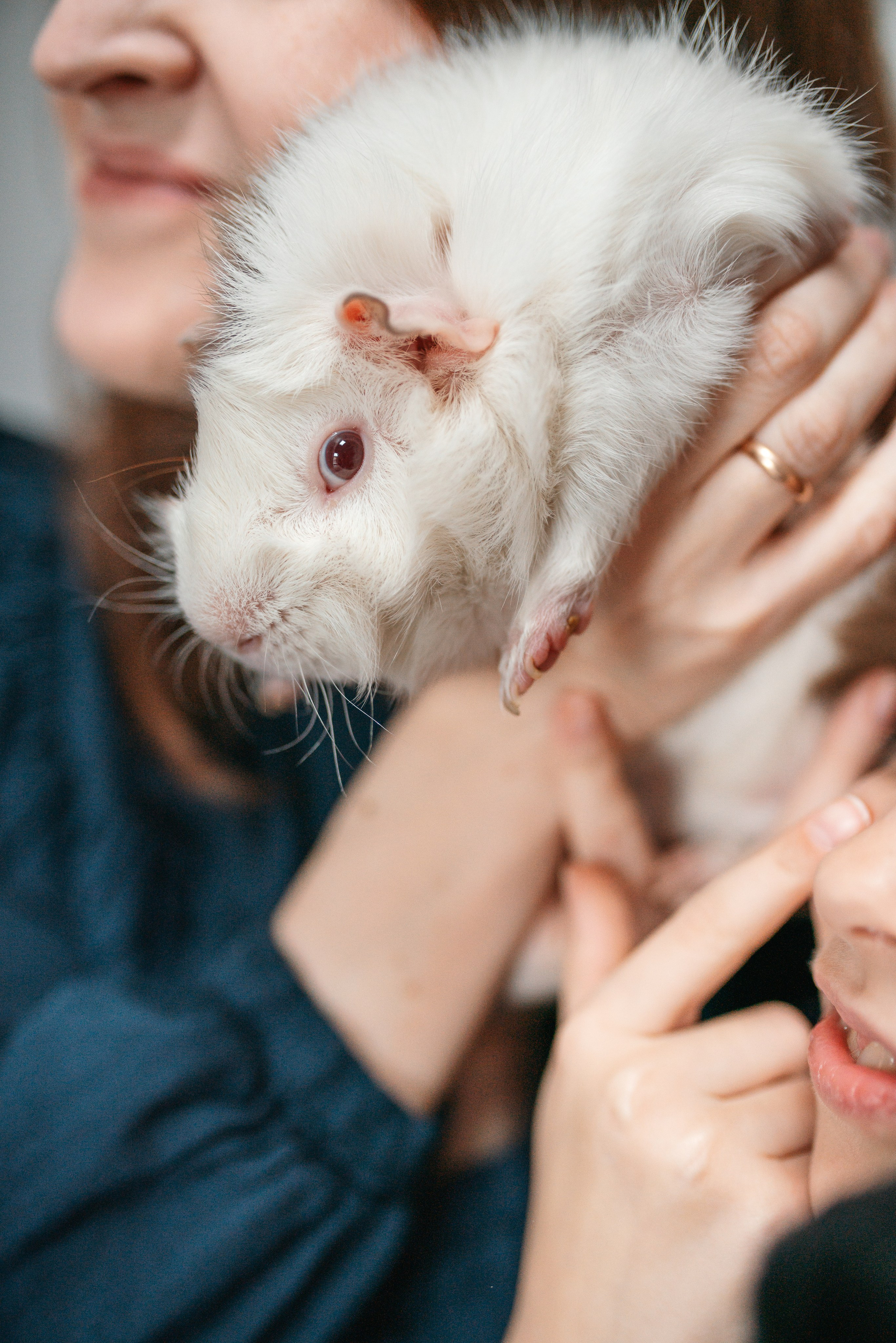 Family. Familien- und Kinderfotografin Katerina Vlasenko, München