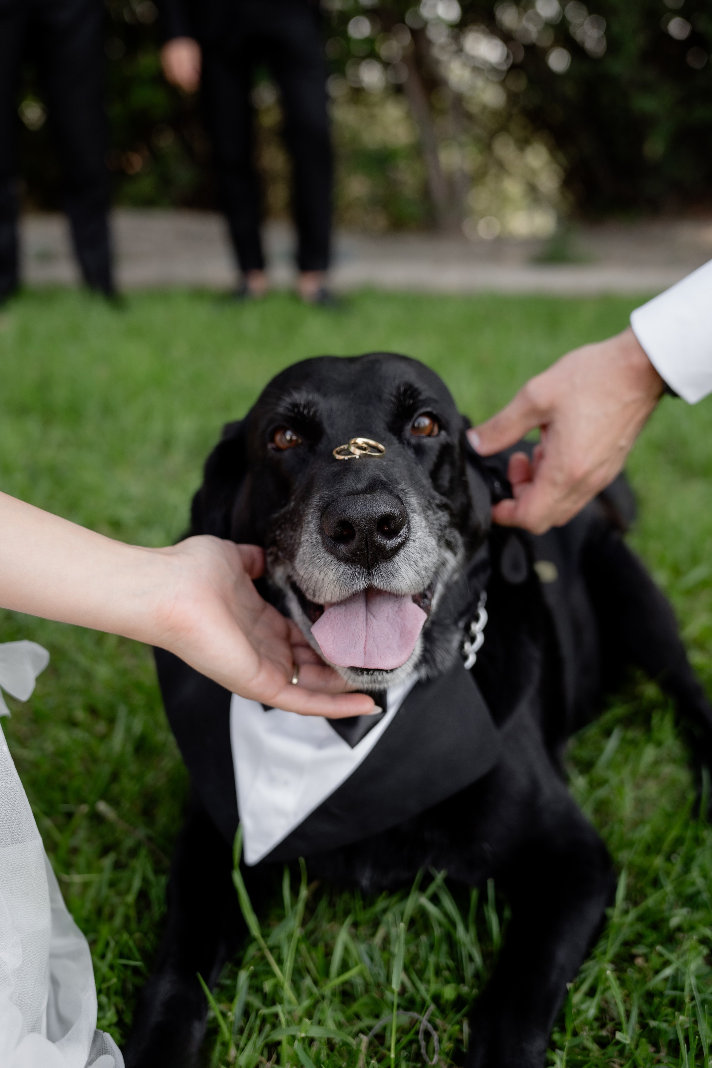 N&R. Orange County Wedding Photographer & Videographer | Candid & Timeless Wedding Photo + Video | Italiantsev