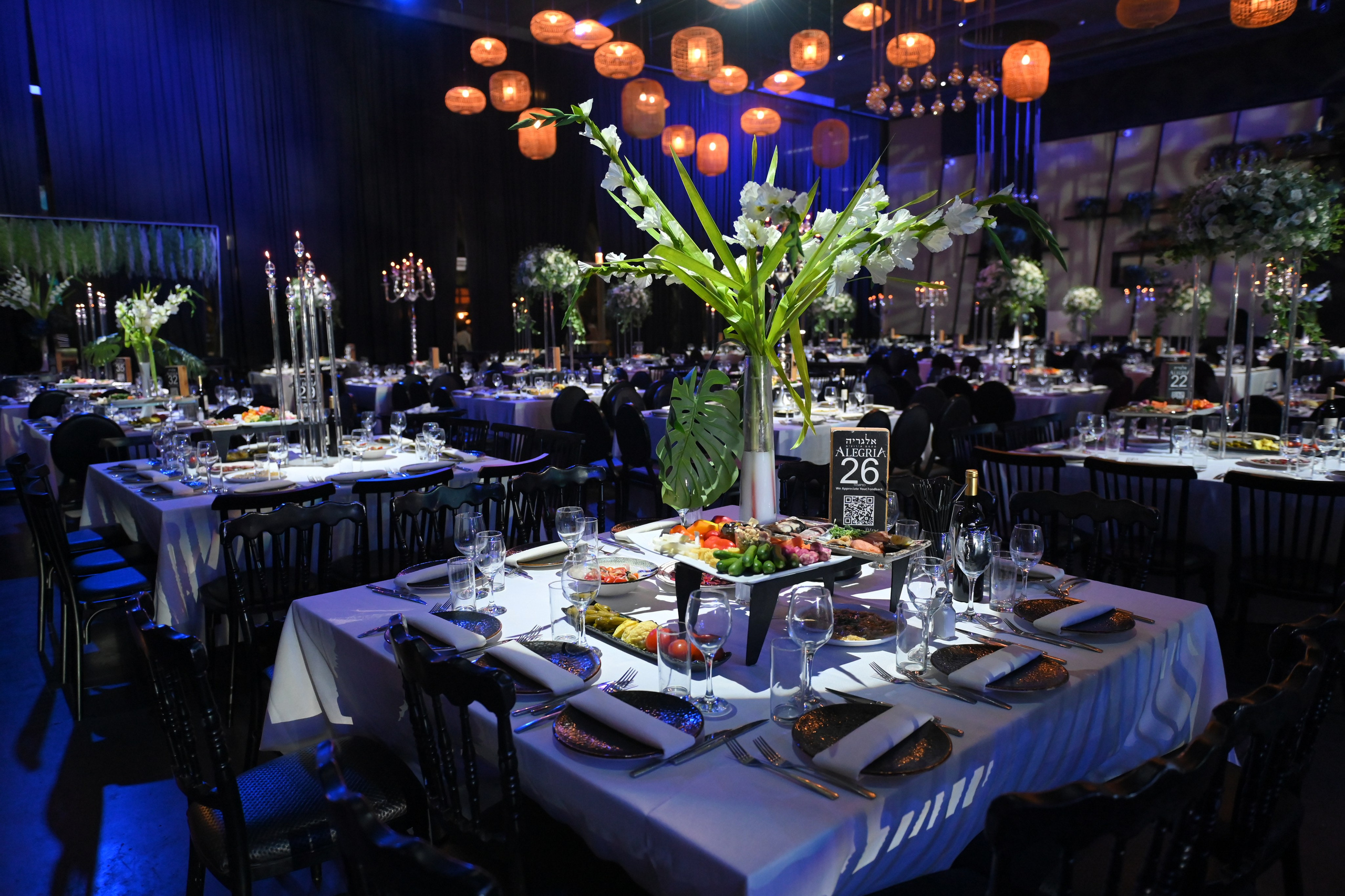 Ronen & Mazal. Wedding and events photographers Studio Shalom