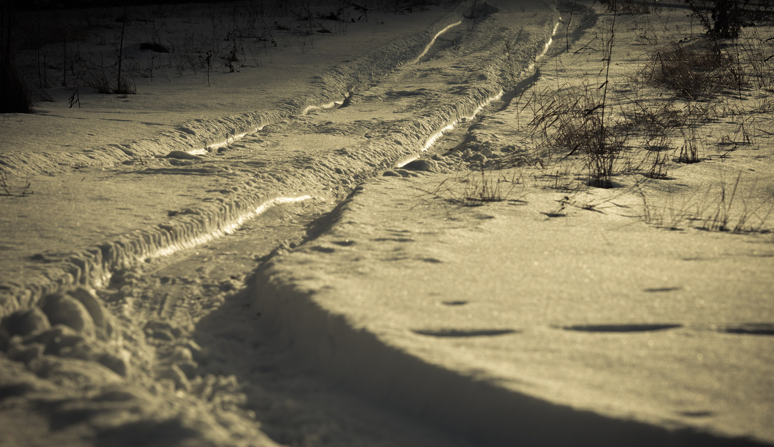 Chisinau. Fotograf de familie Vitalie Budoianu