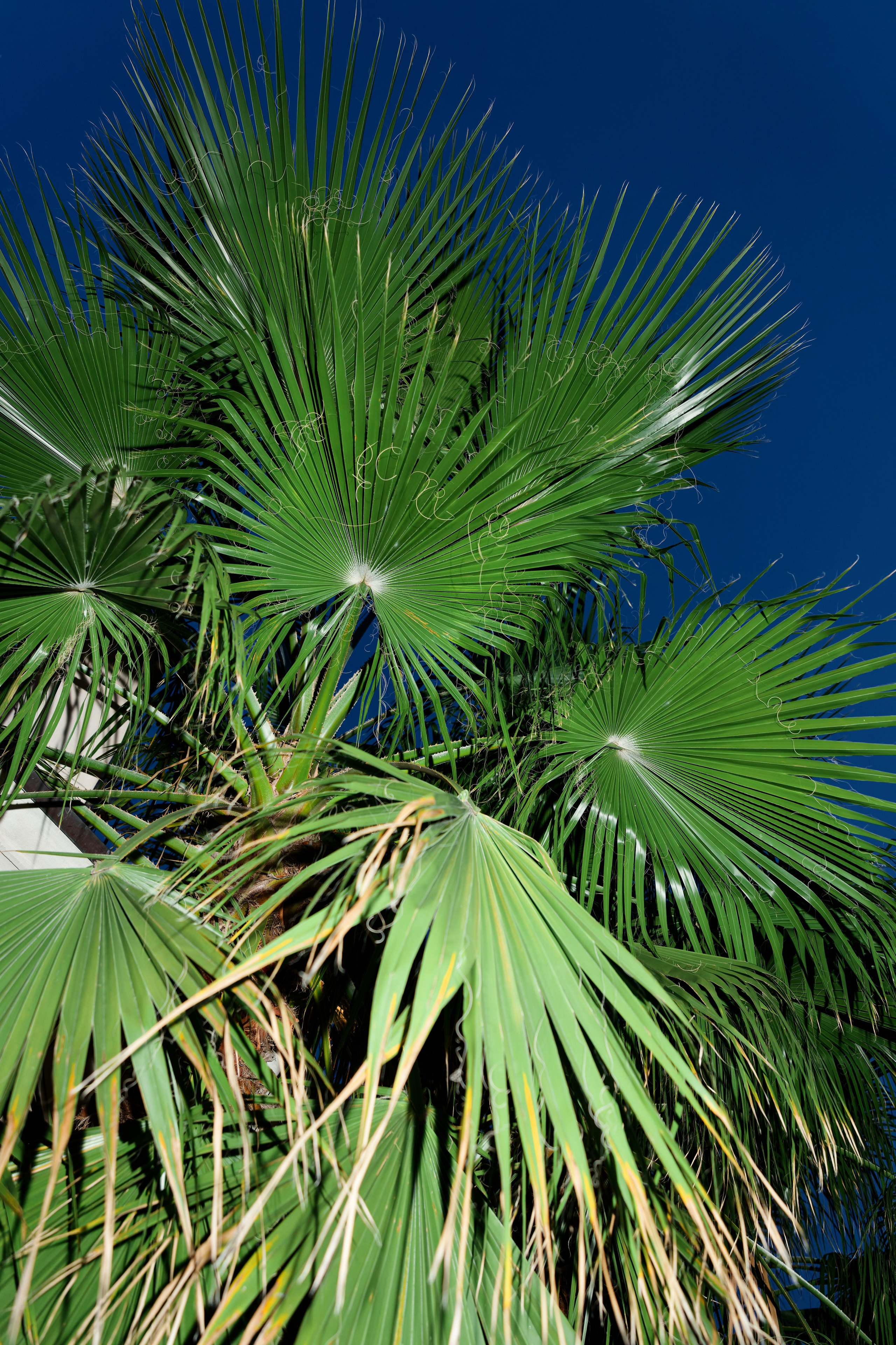 Wedding at Villa Carminati Resta on Lake Como