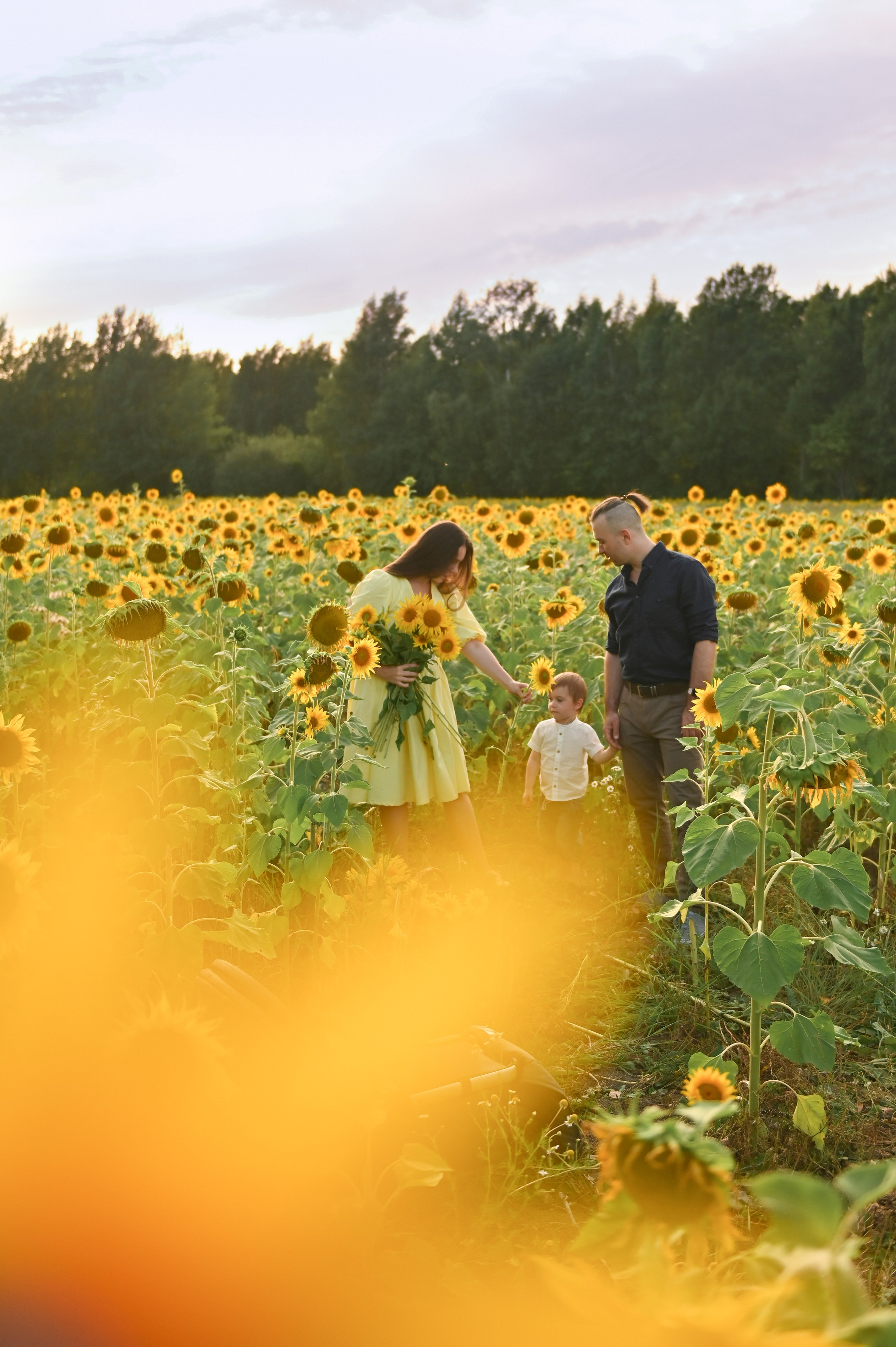 Подсолнухи. Детский и семейный фотограф в финляндии дина пулкка. контент фотограф