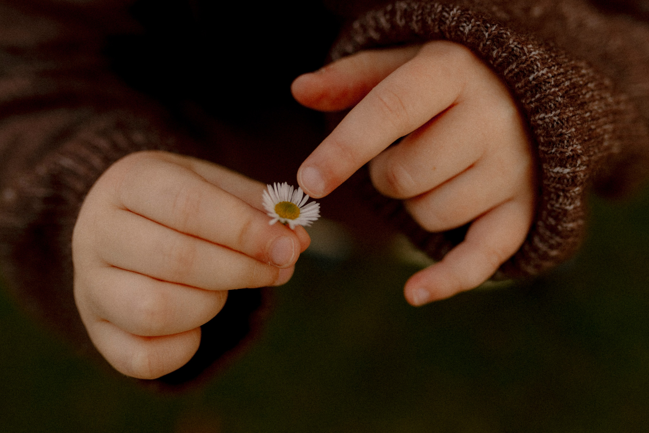 Under the Tree. Polina Sobol — family & documentary photographer in Bern. Outdoor & urban photo sessions for families, kids and couples