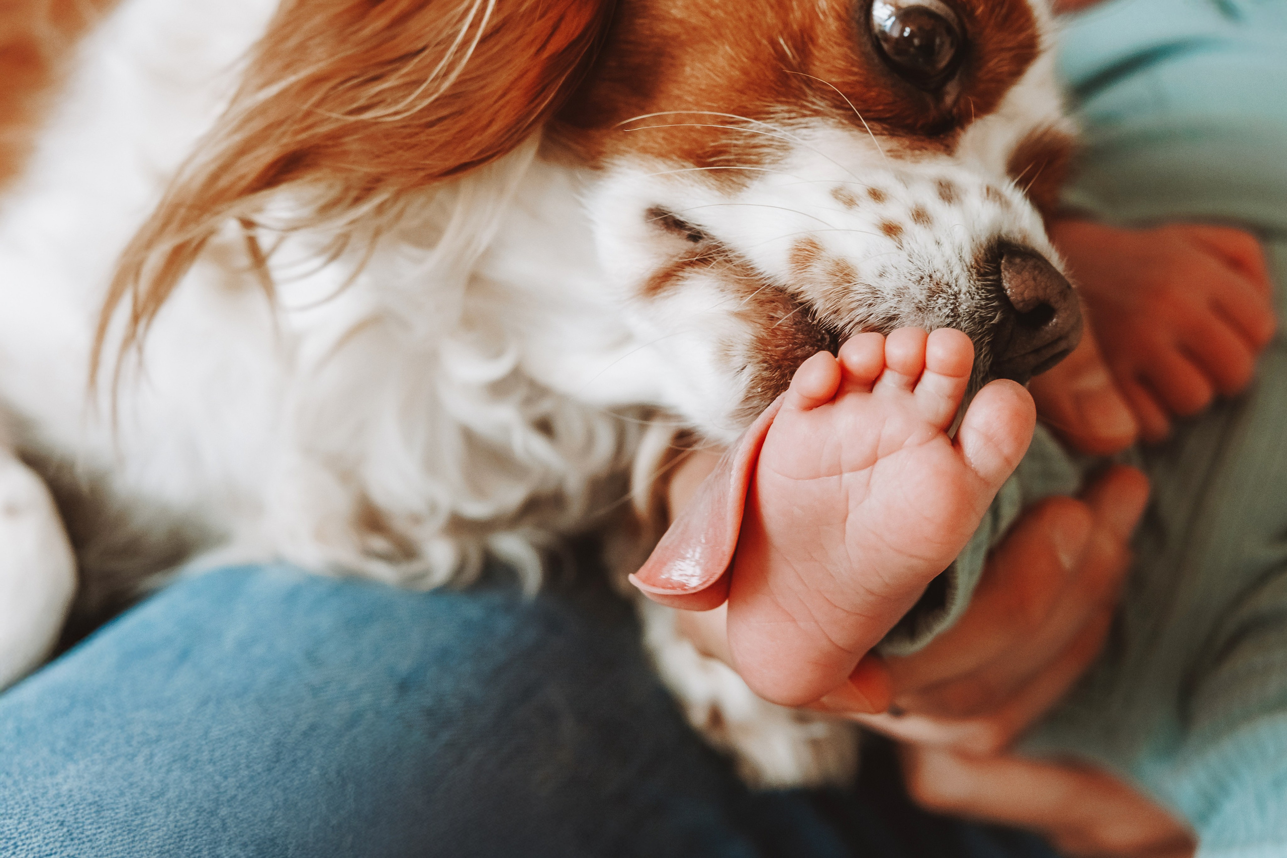 Фотосесия за новородено. Фотограф Ирина Йотова